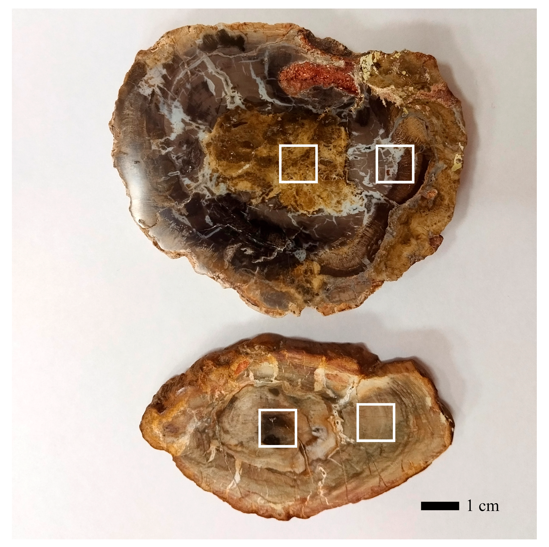 Minerals 14 01128 g001 Minerals 14 01128 g001