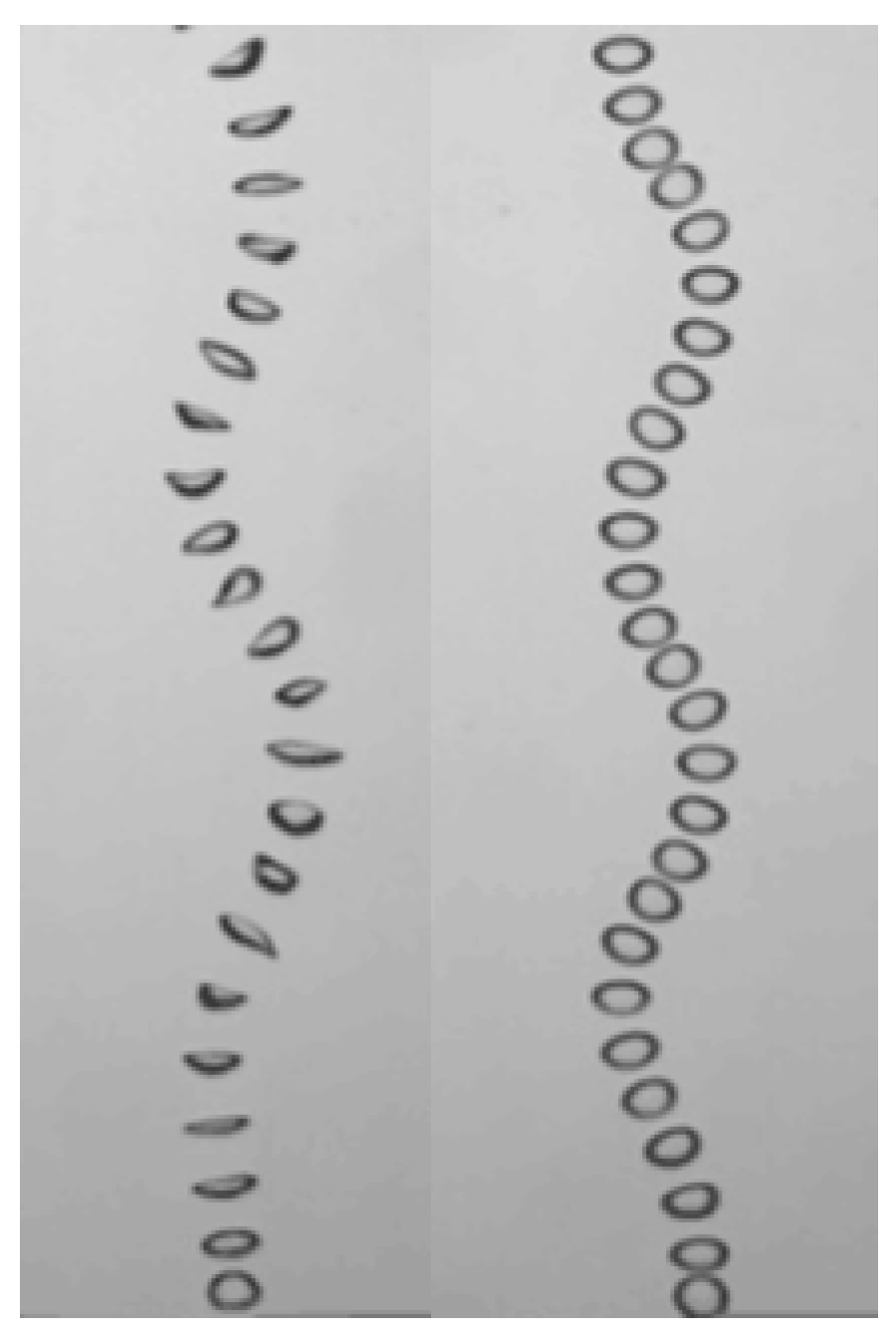 Minerals 14 01129 g012