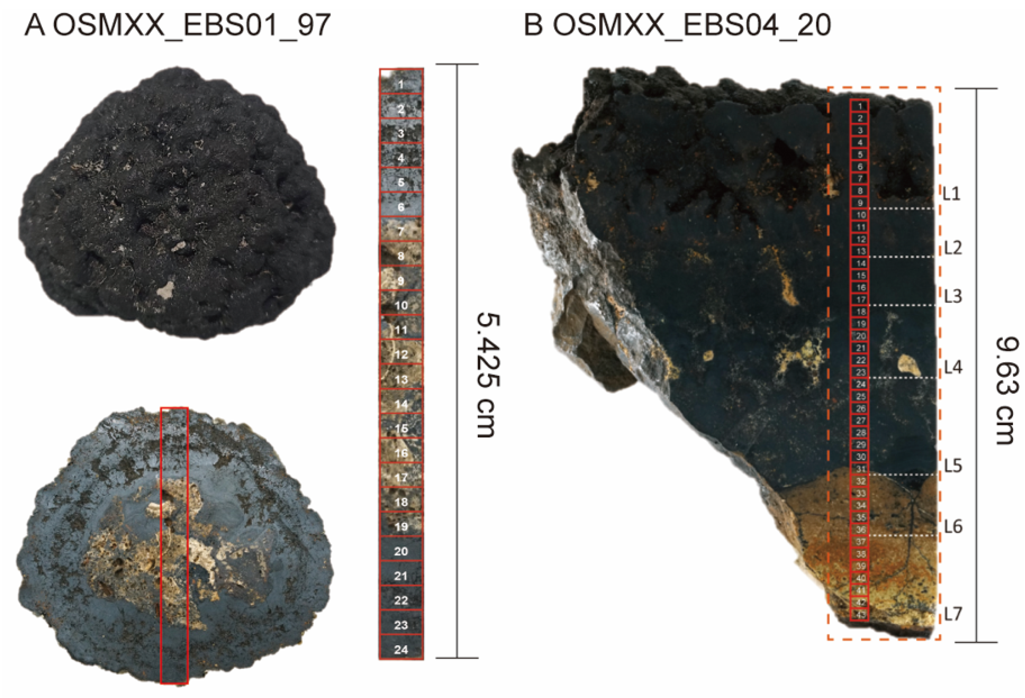 Minerals 14 01135 g002