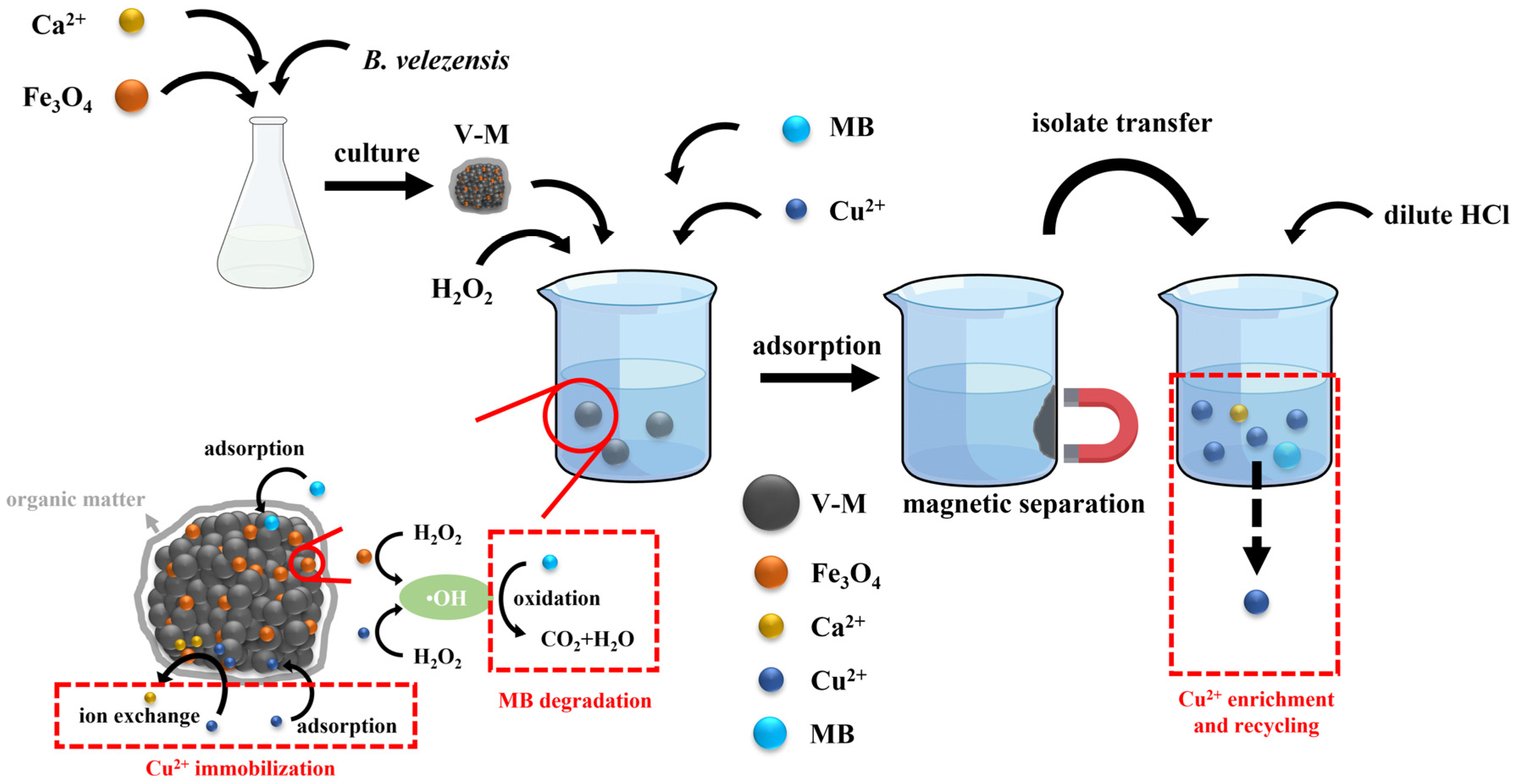 Minerals 14 01142 g011