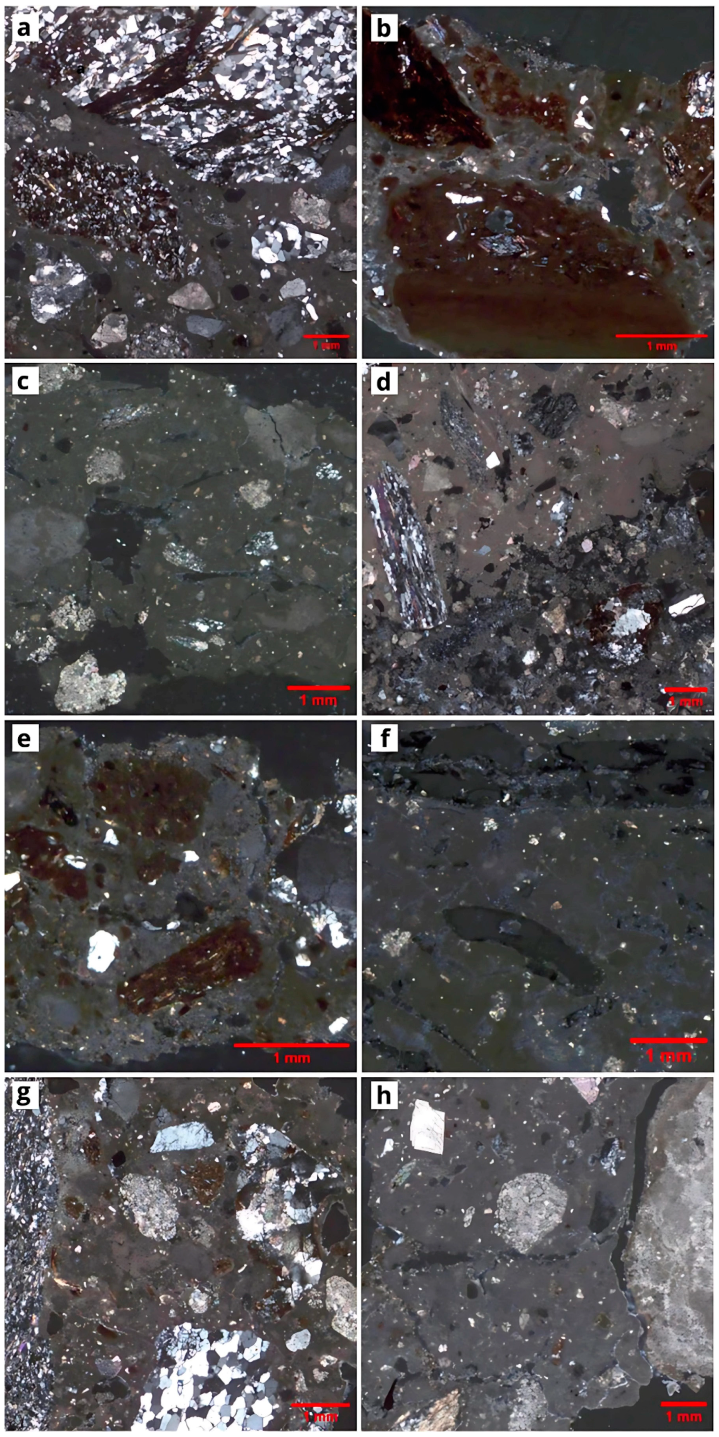 Minerals 14 01143 g007