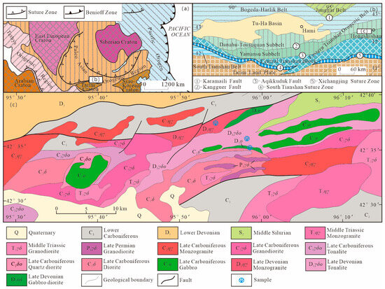 Molecular Pathways Governing the Termination of Liver