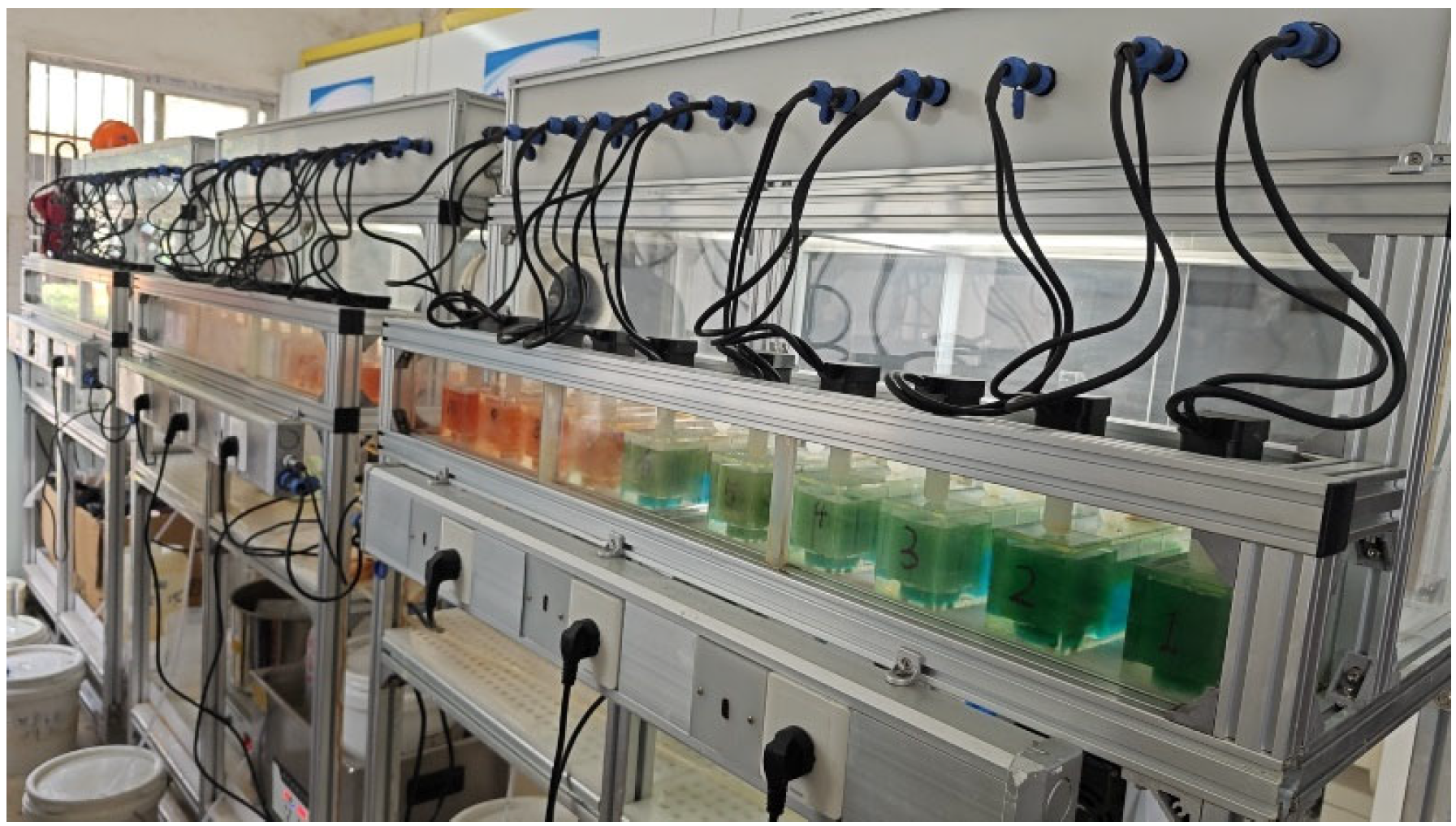 Minerals 14 01147 g011