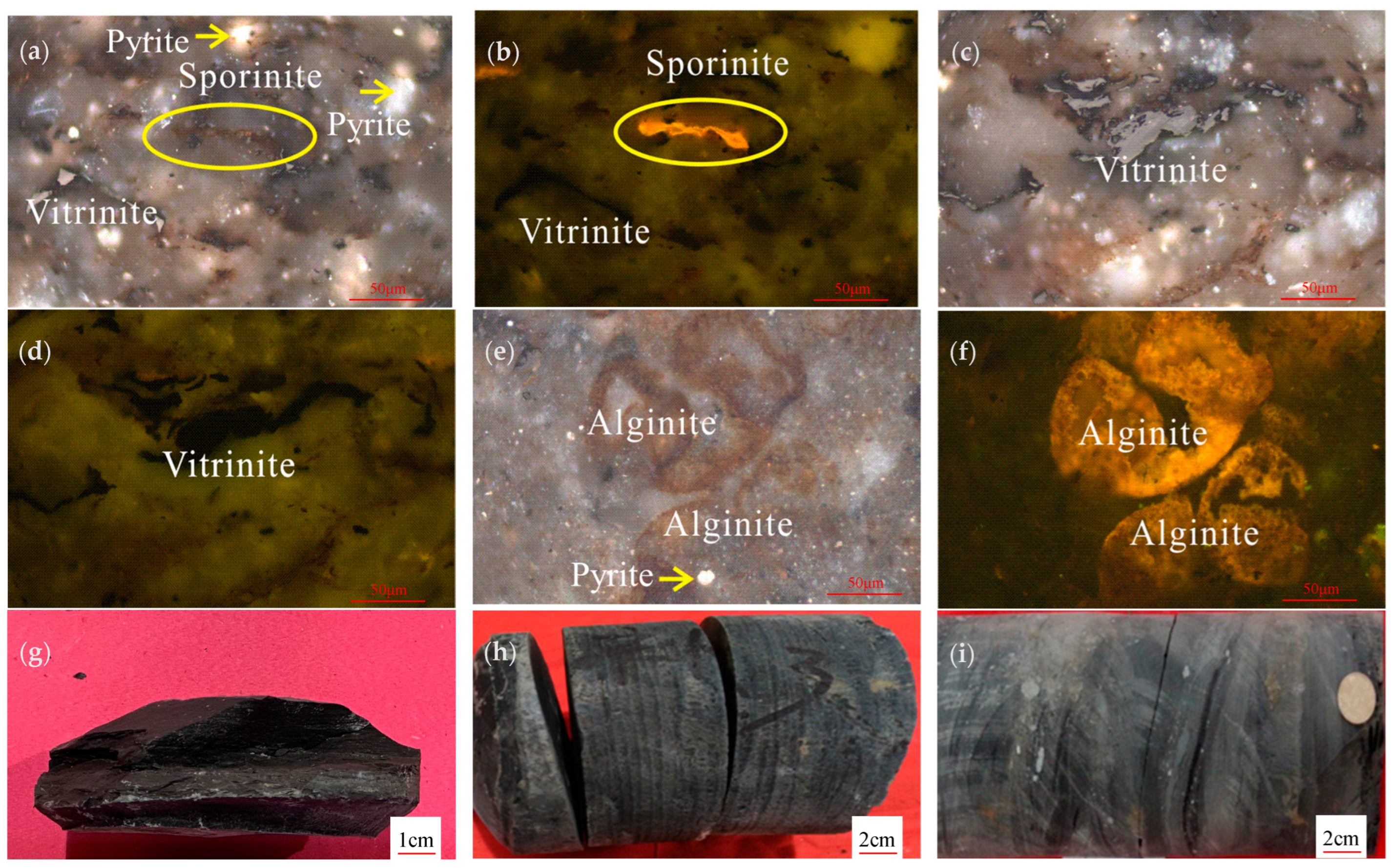 Minerals 14 01152 g003
