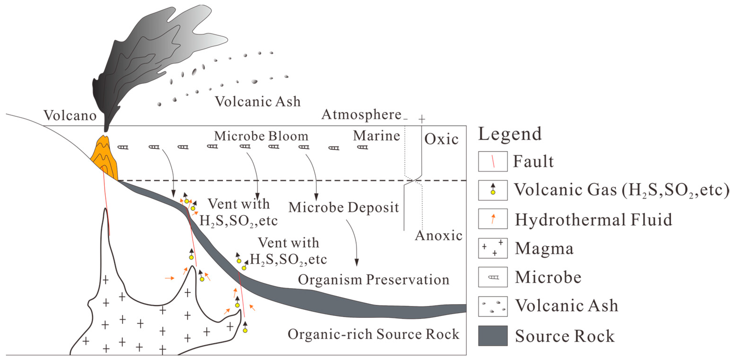 Minerals 14 01152 g010