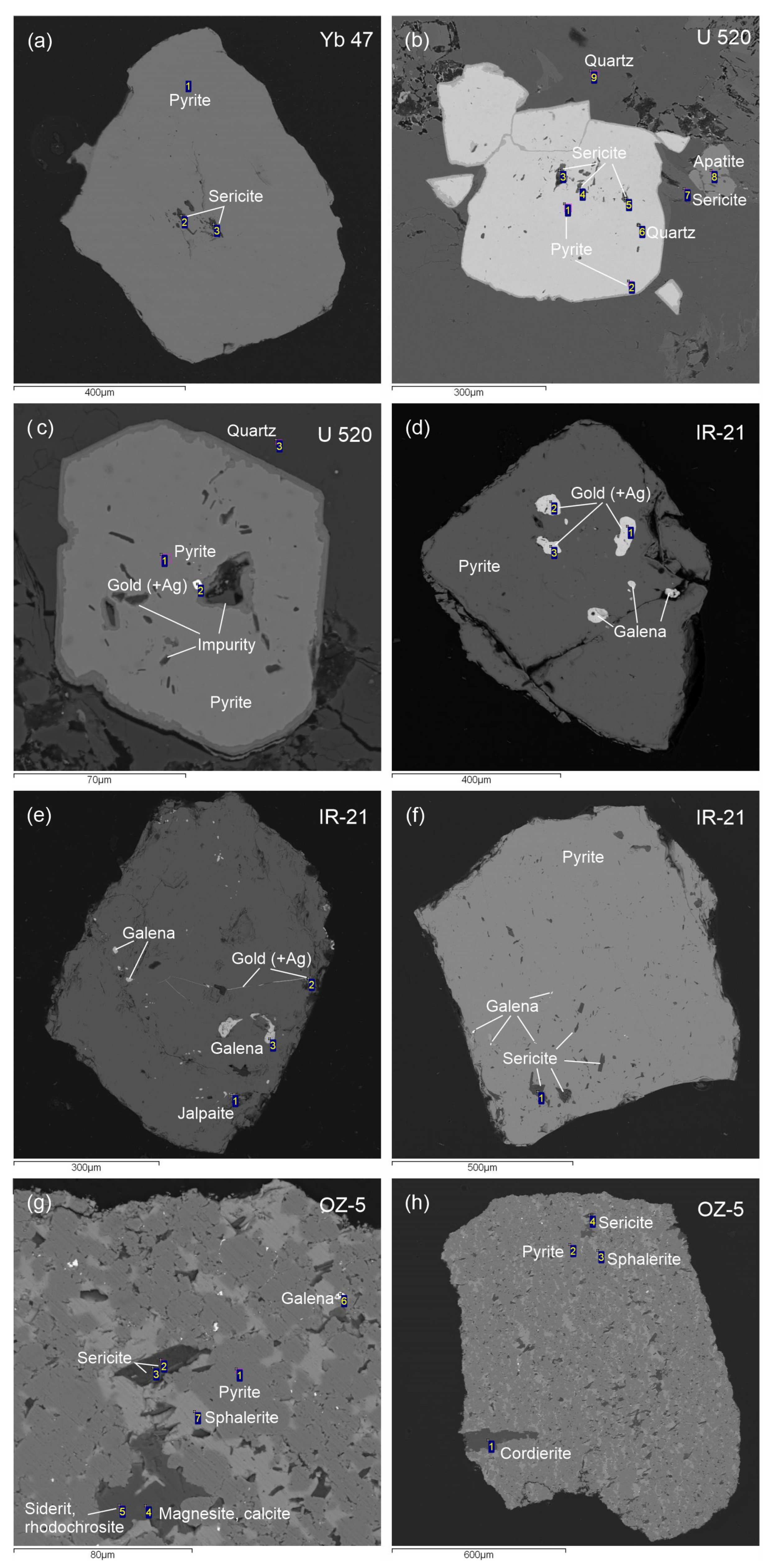 Minerals 14 01158 g008