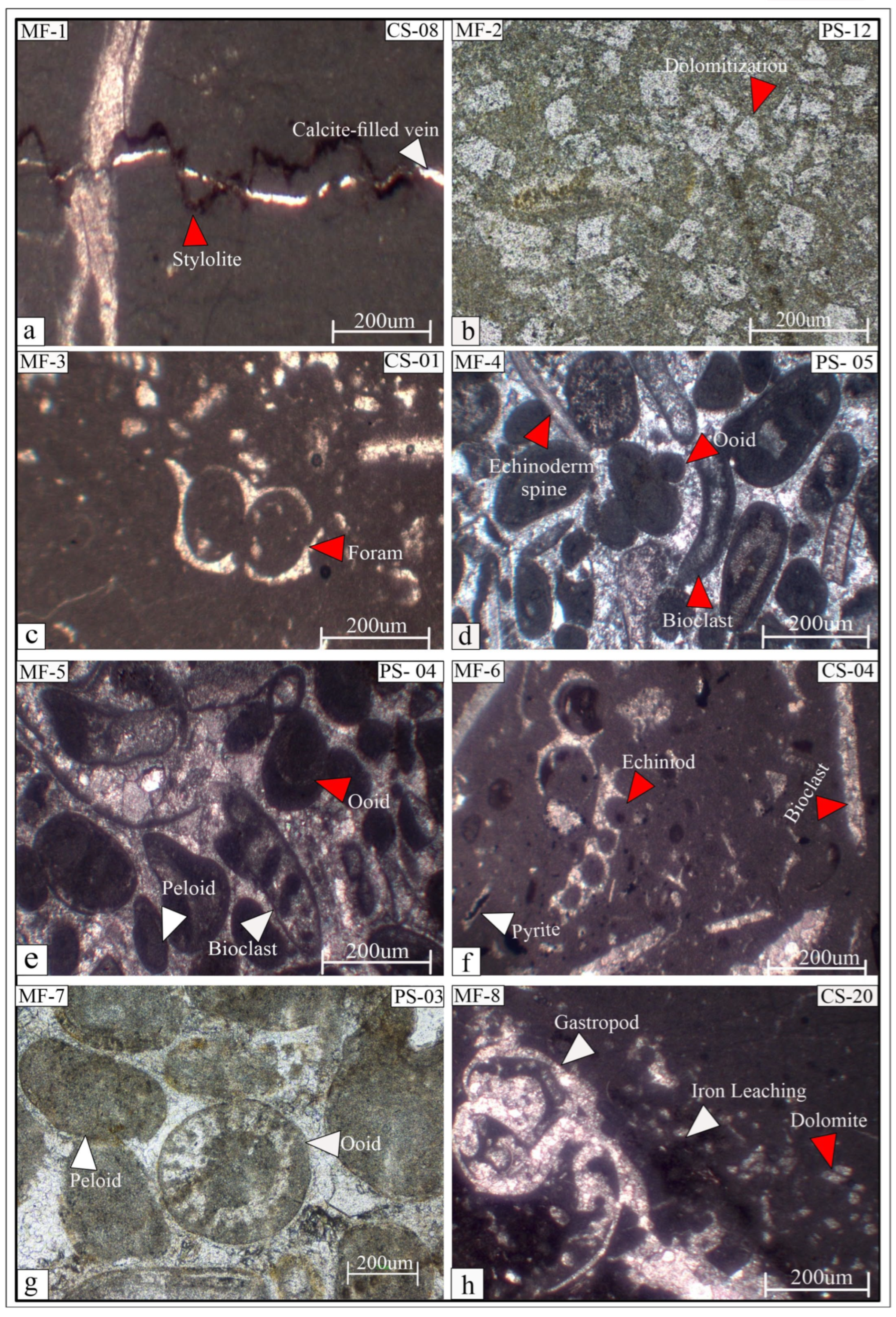 Minerals 14 01170 g006