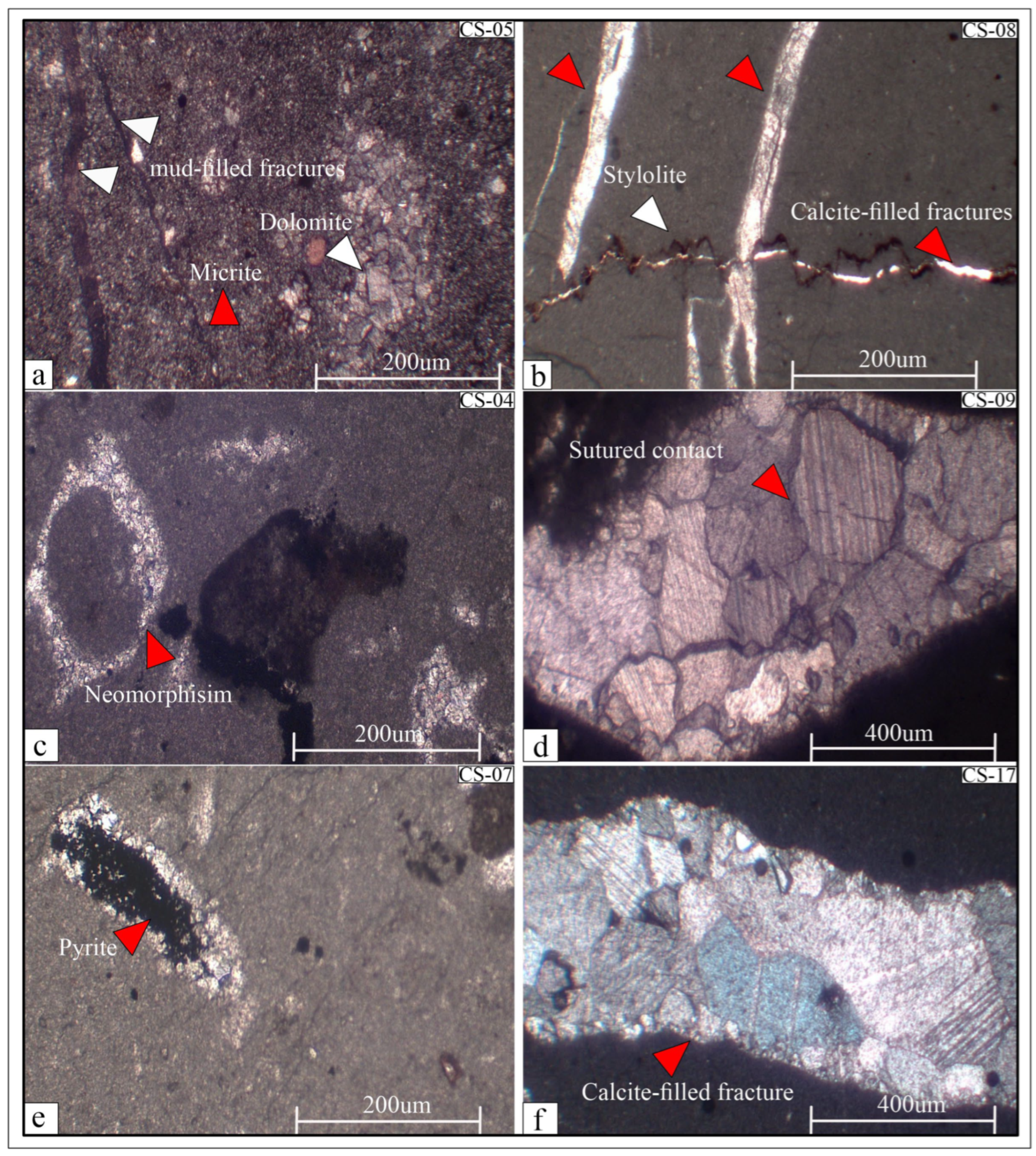 Minerals 14 01170 g007