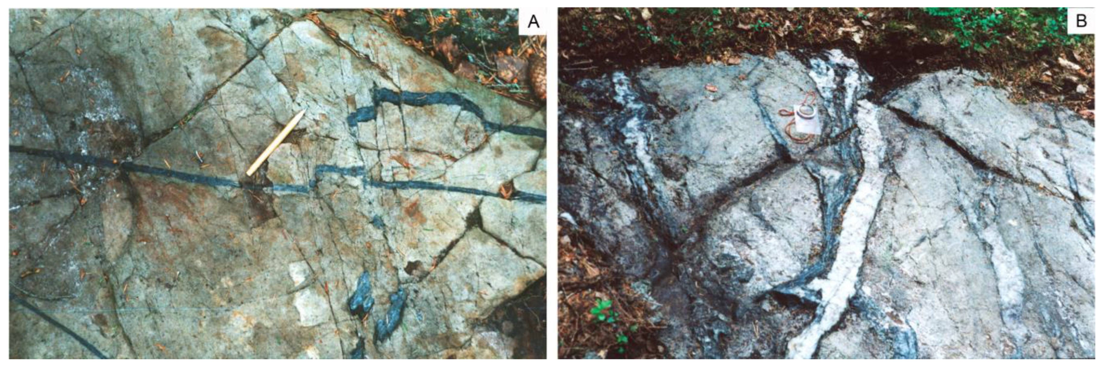 Minerals 14 01172 g012