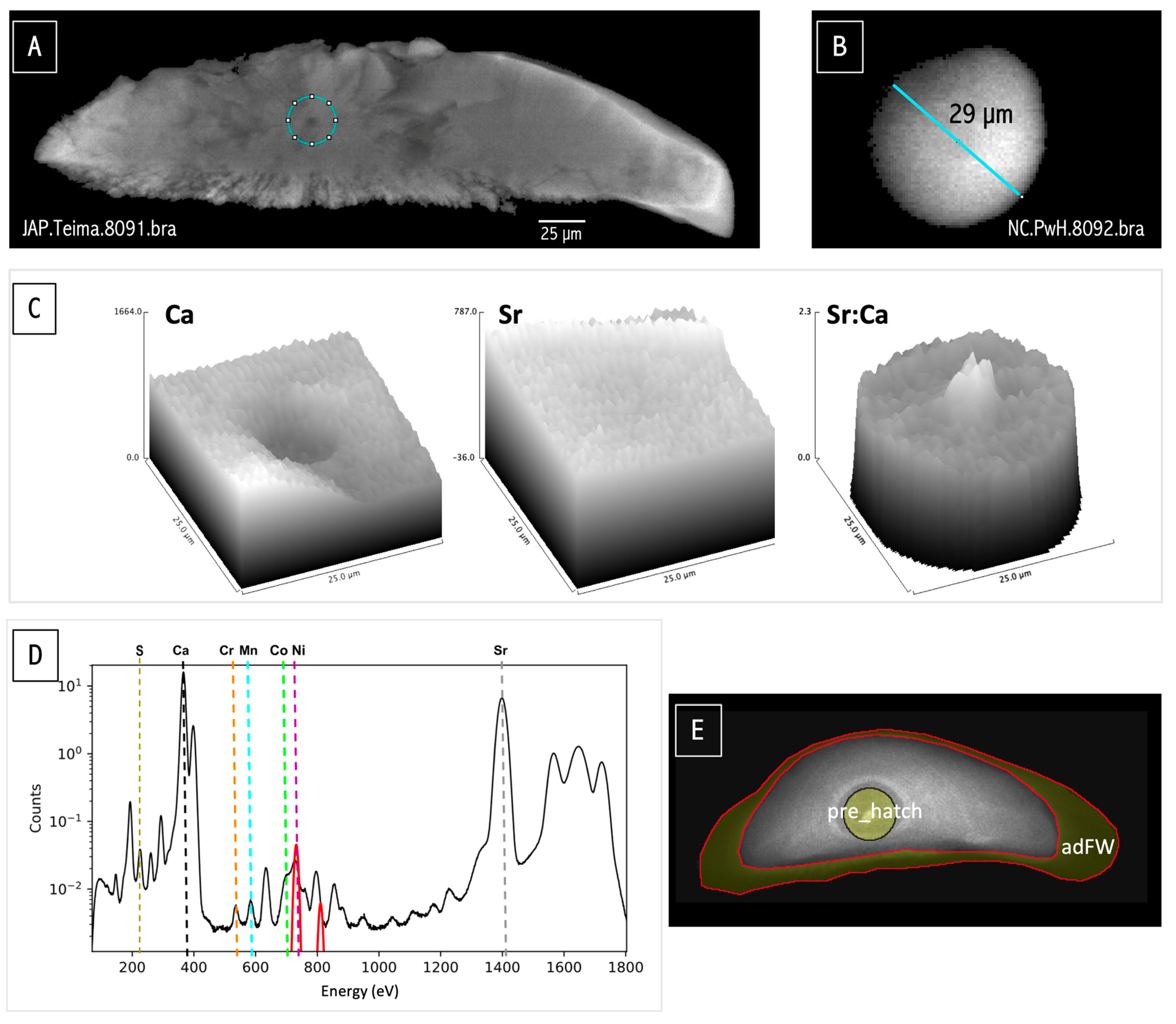 Minerals 14 01176 g001 Minerals 14 01176 g001
