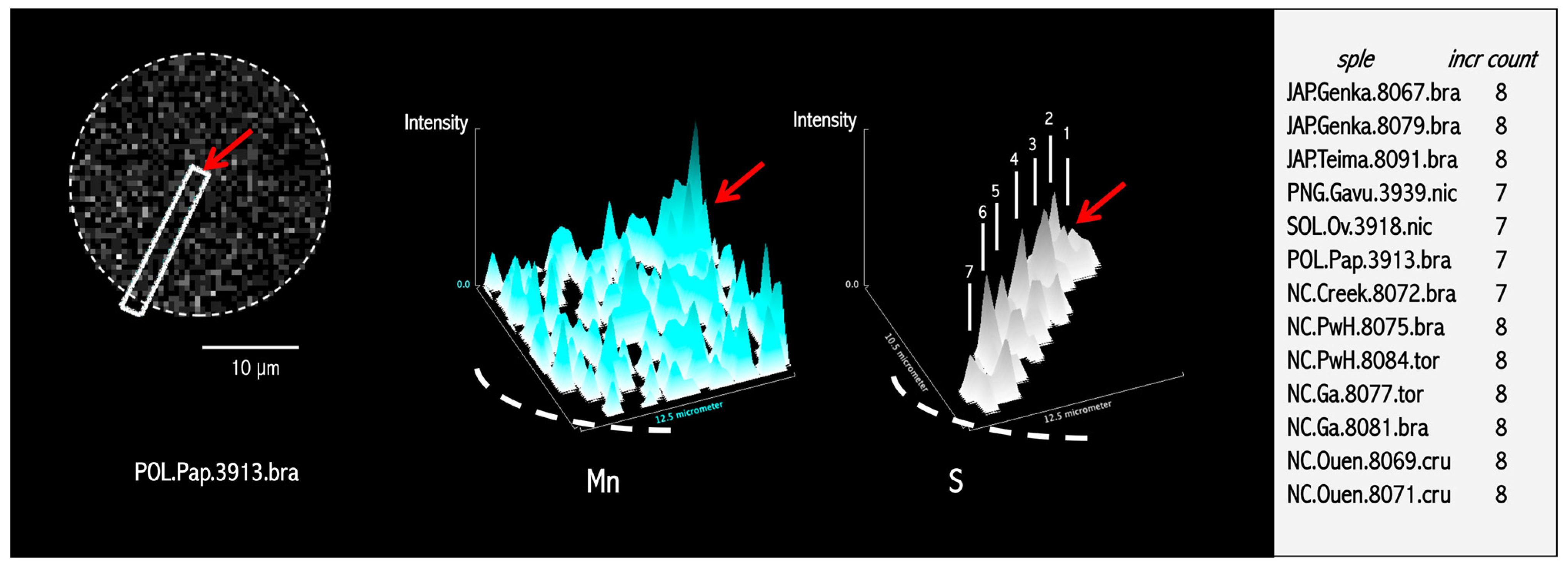 Minerals 14 01176 g005 Minerals 14 01176 g005