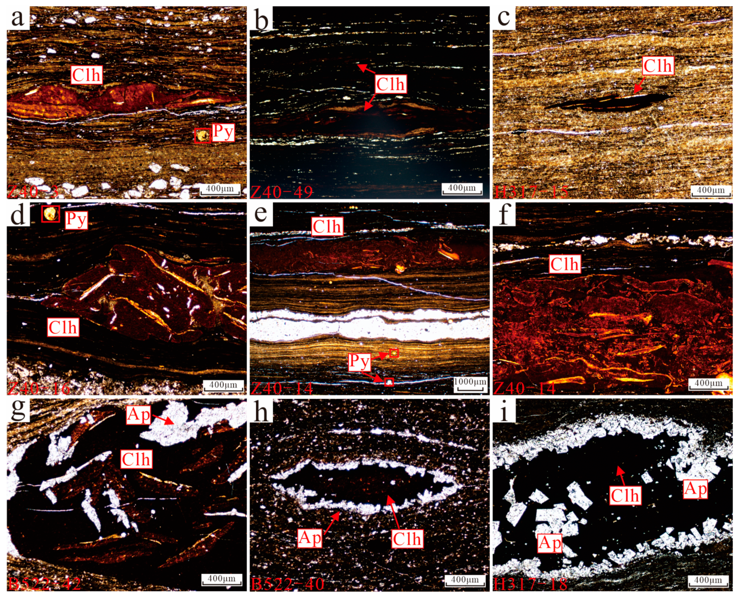 Minerals 14 01184 g002