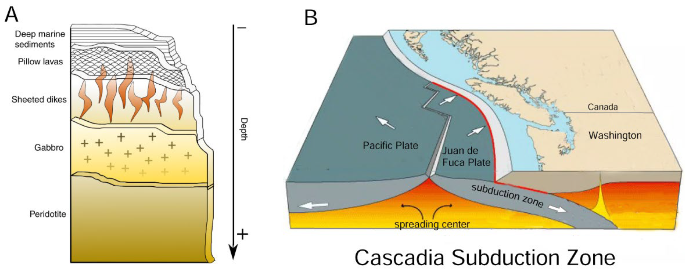 Minerals 14 01186 g001