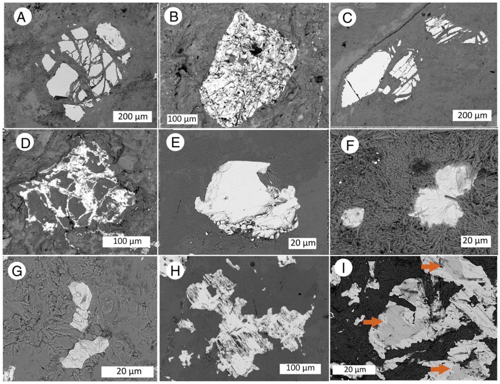 Minerals 14 01186 g025