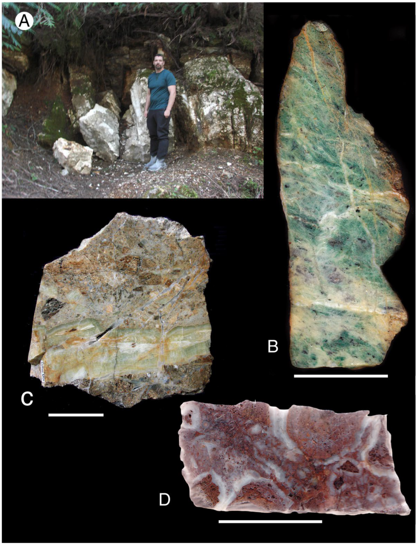 Minerals 14 01186 g031