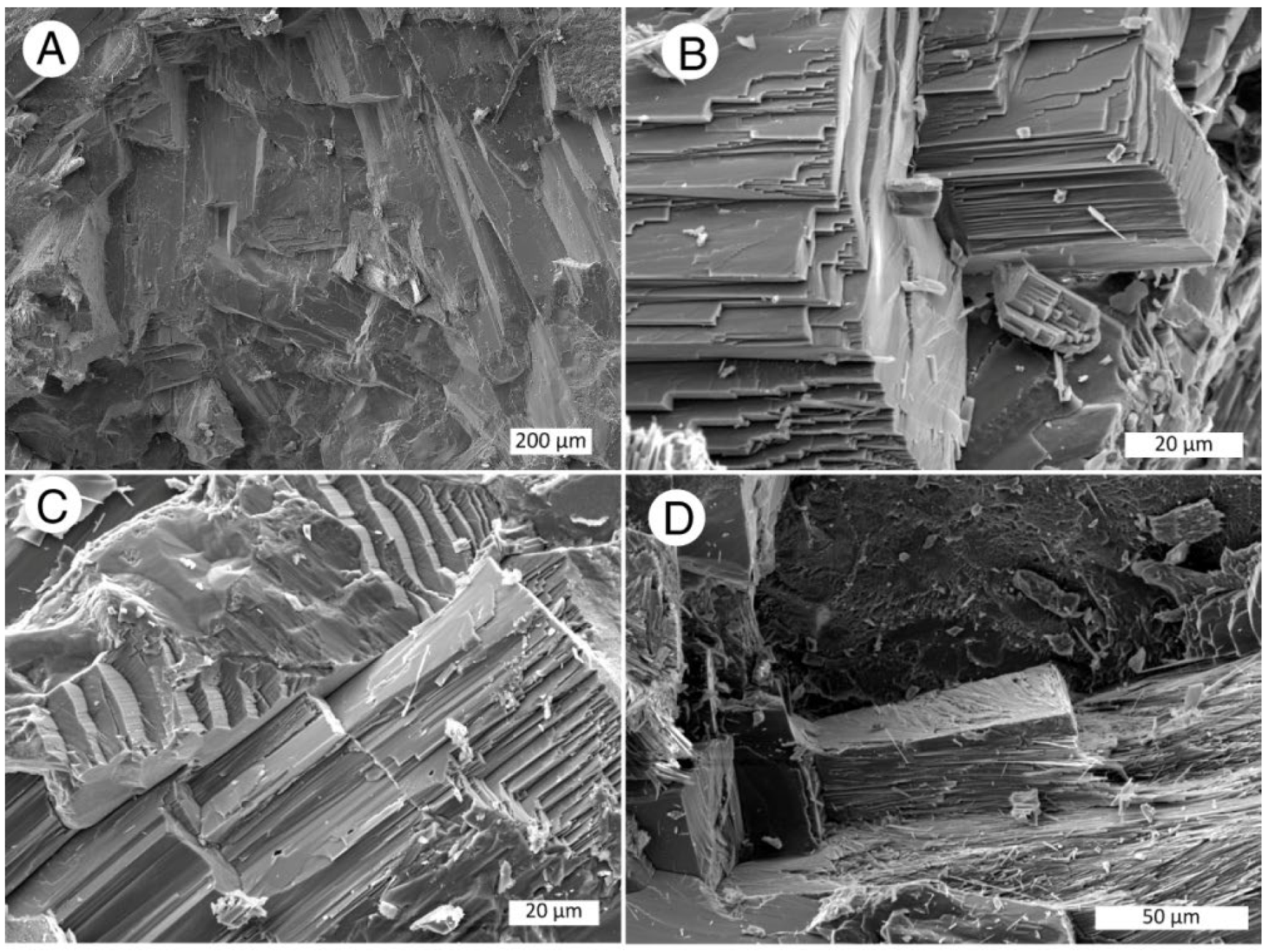 Minerals 14 01186 g044