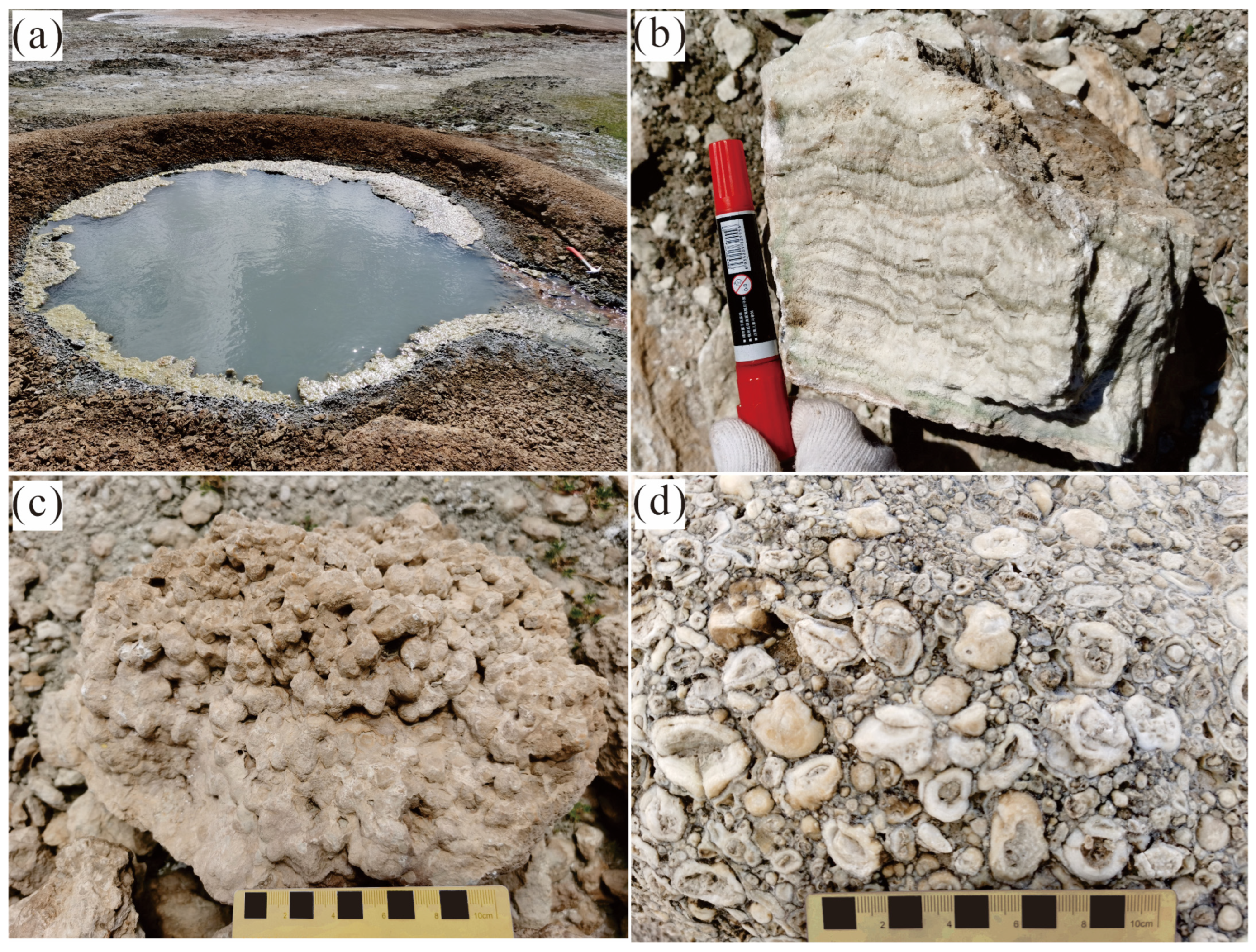 Minerals 14 01192 g002