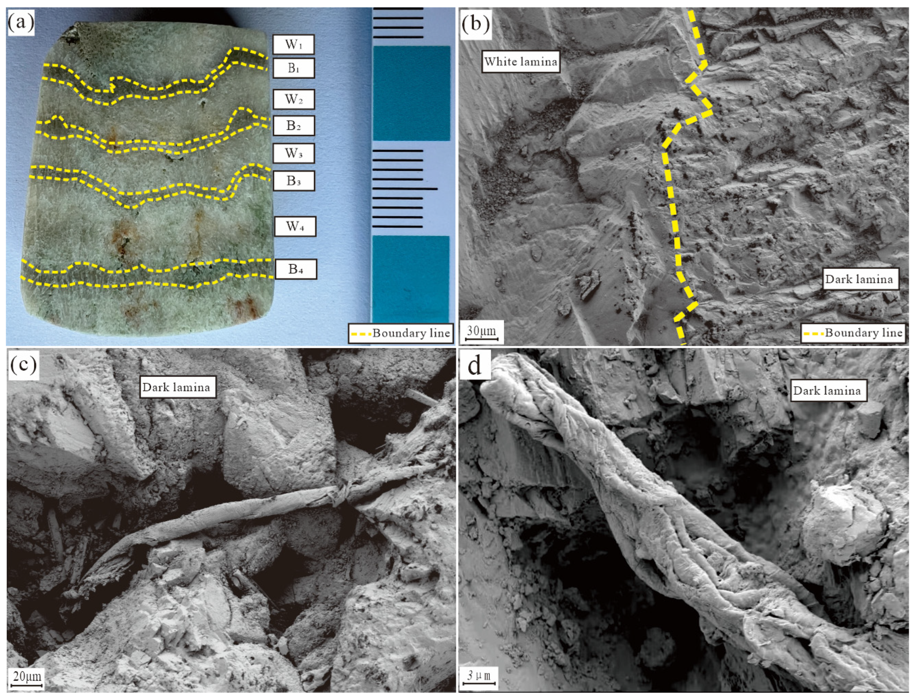 Minerals 14 01192 g004