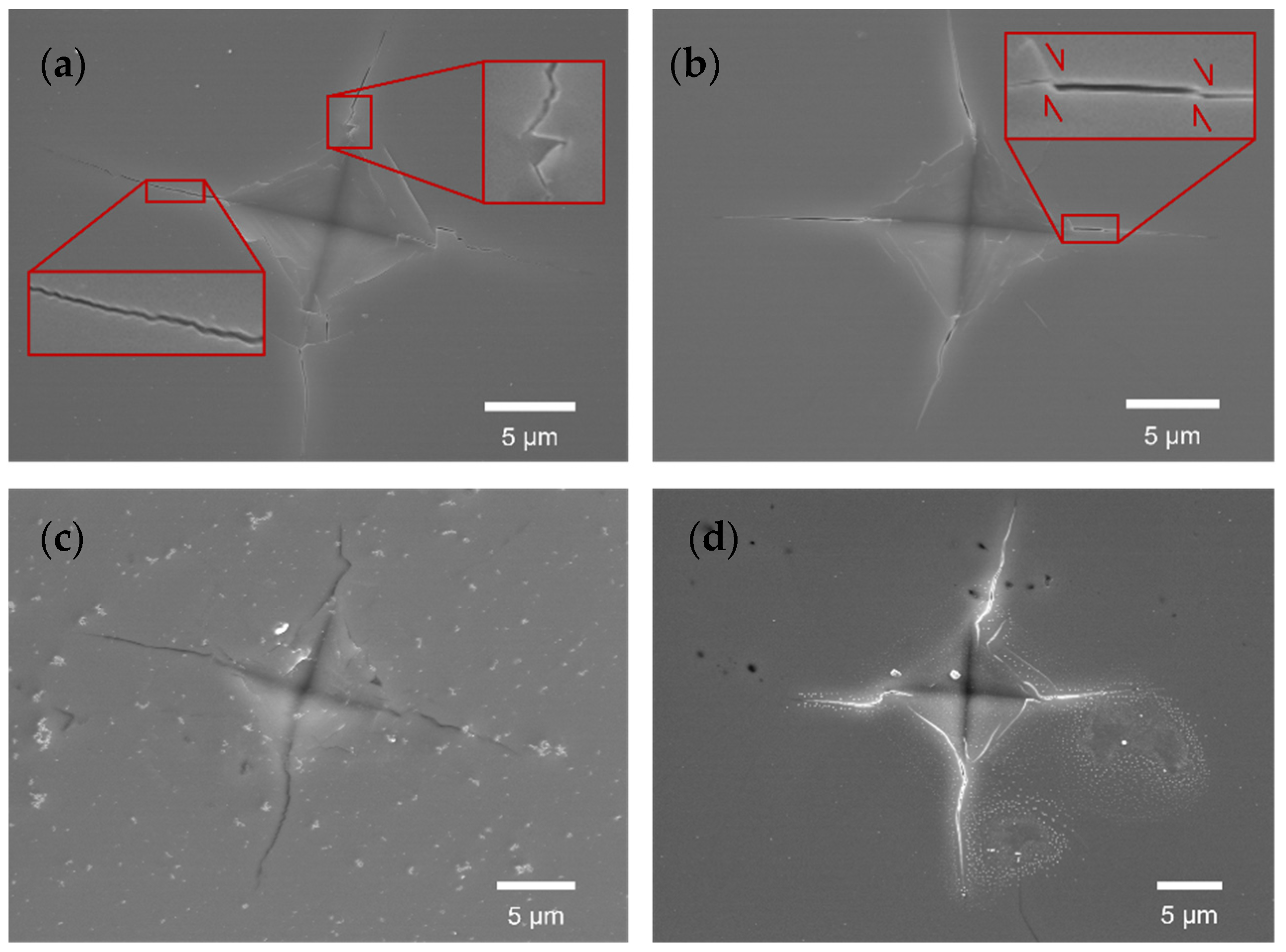 Minerals 14 01193 g009