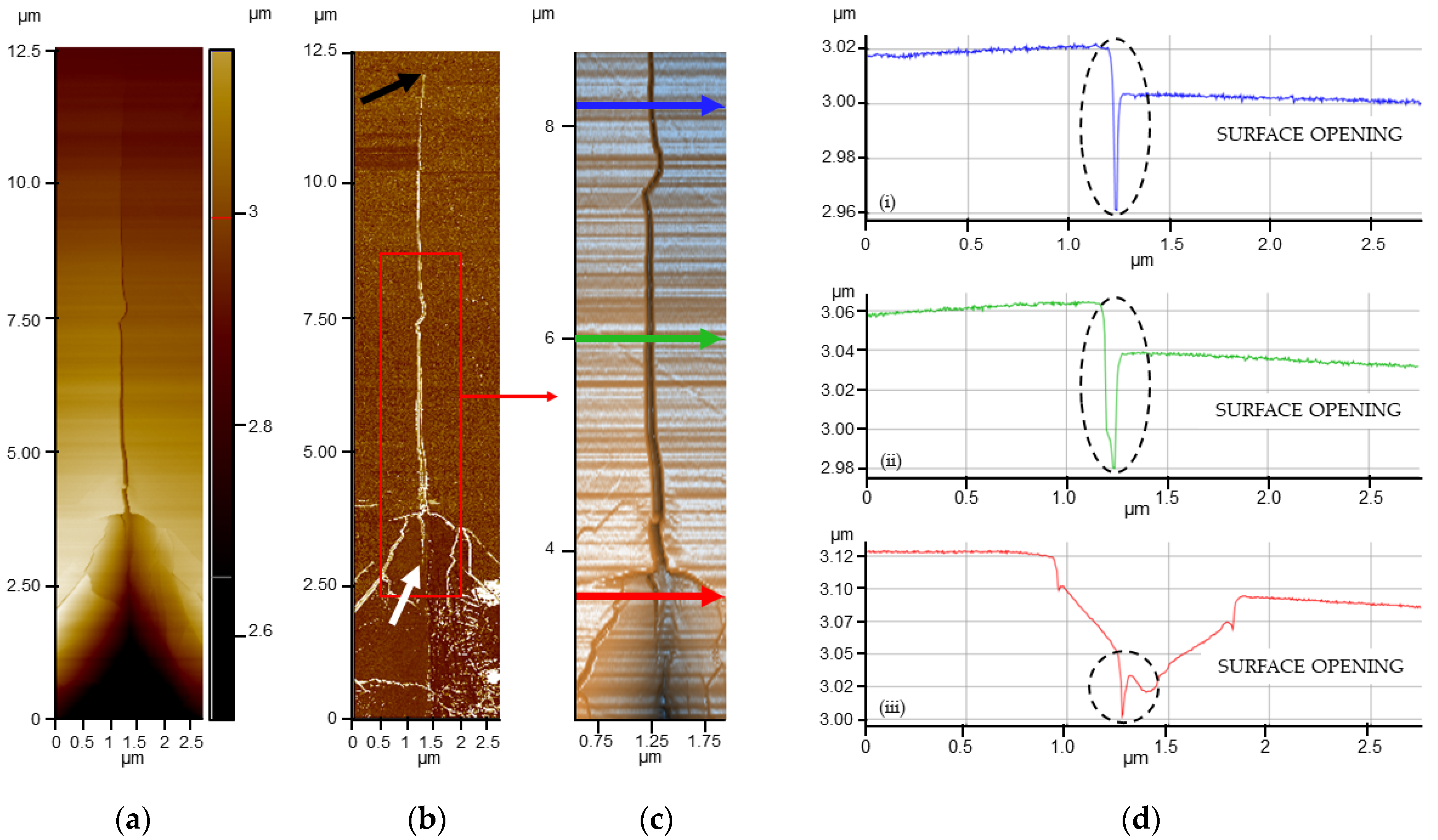 Minerals 14 01193 g010