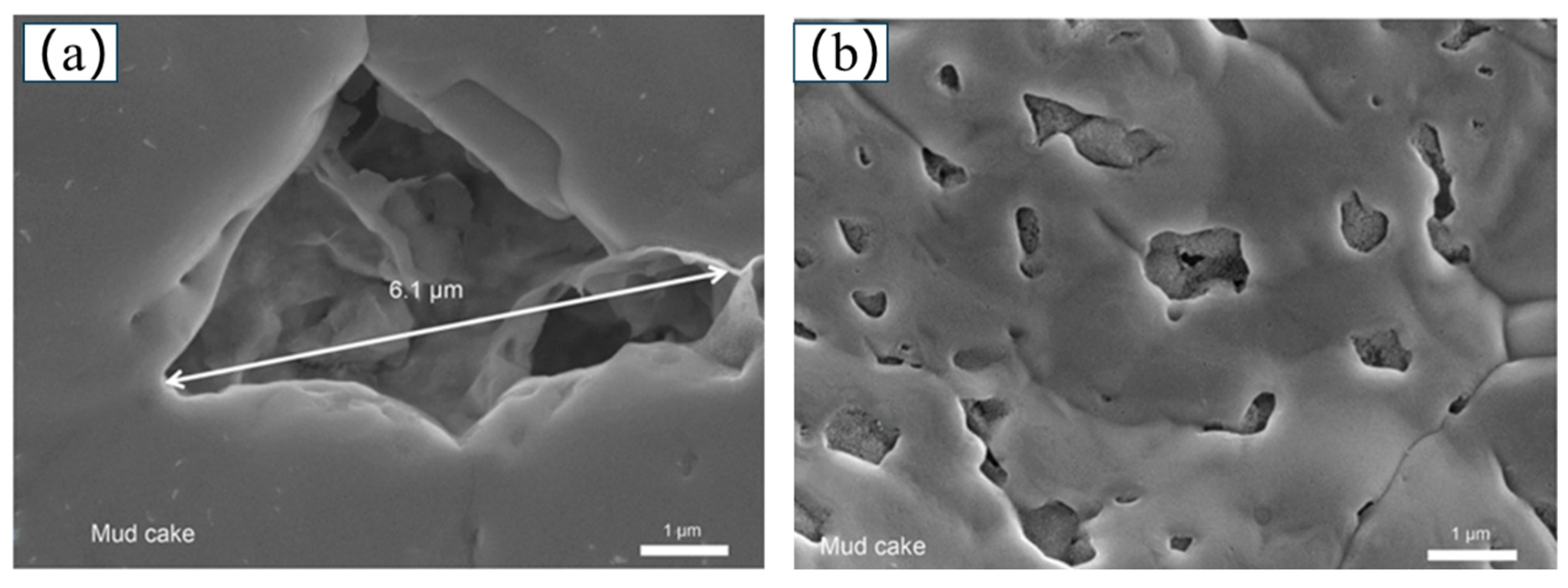 Minerals 14 01197 g008