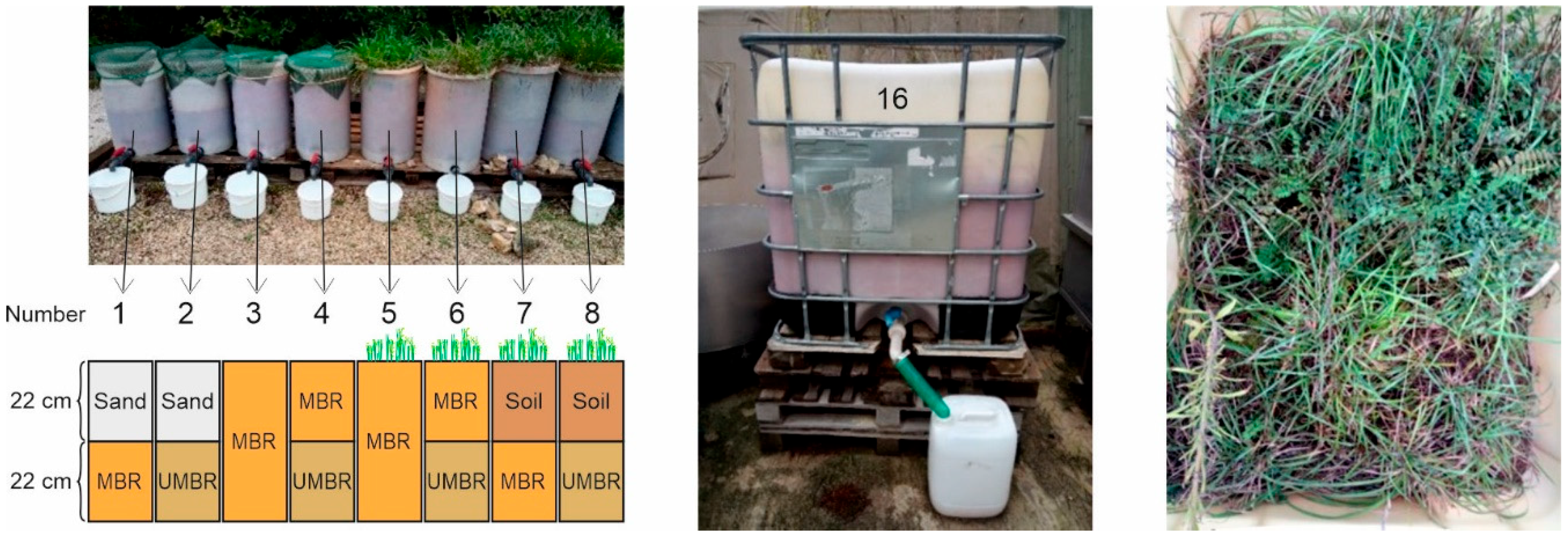 Minerals 14 01210 g002