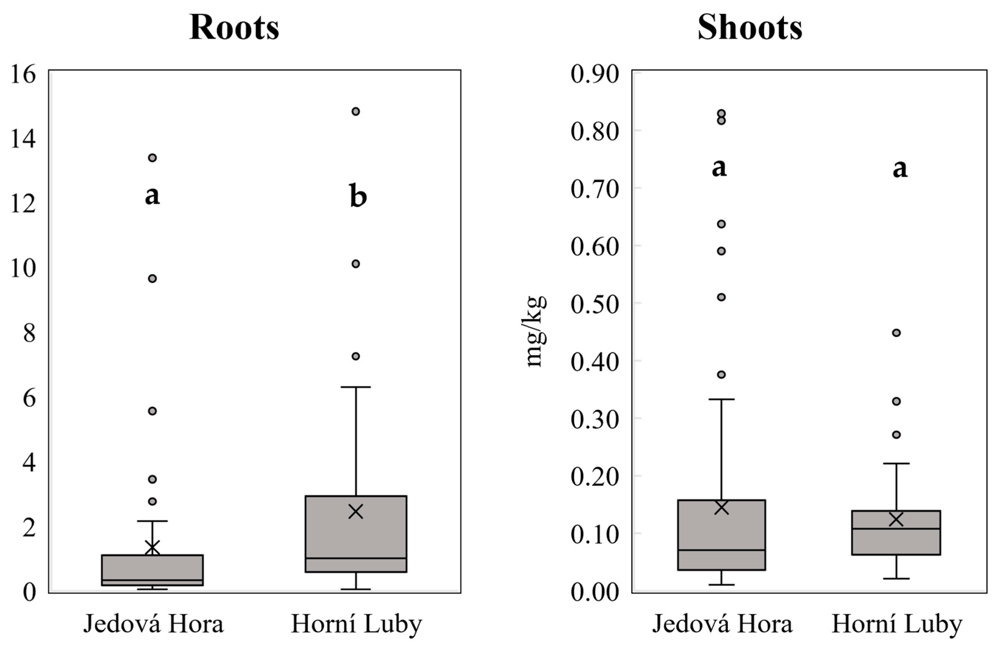 Minerals 14 01211 g001