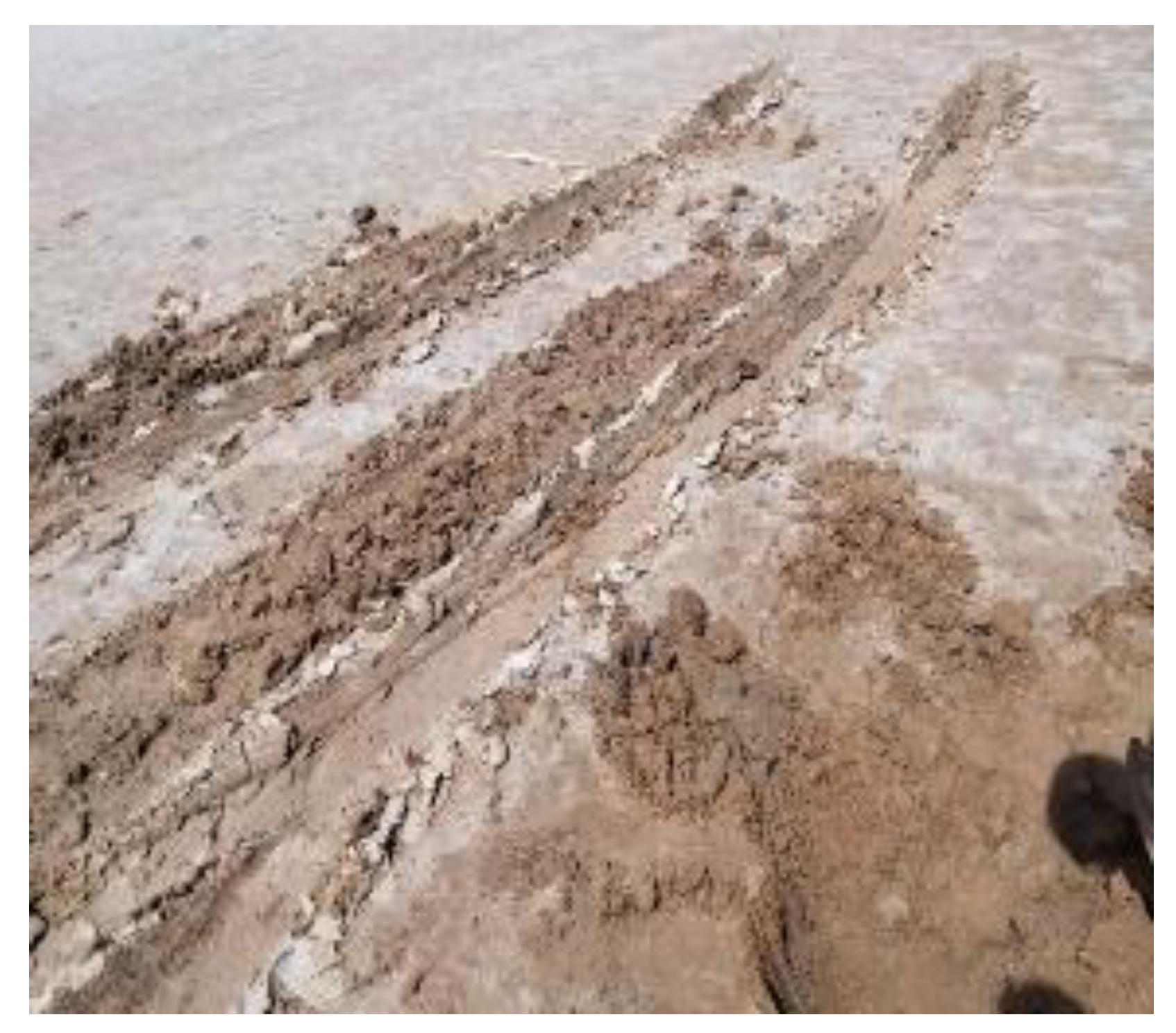 Minerals 14 01217 g010