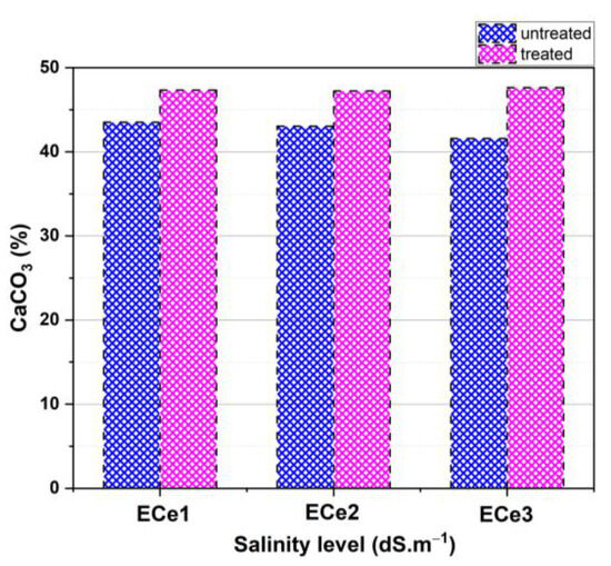 Salinity Effects on the Physicochemical and Mechanical Behavior of ...