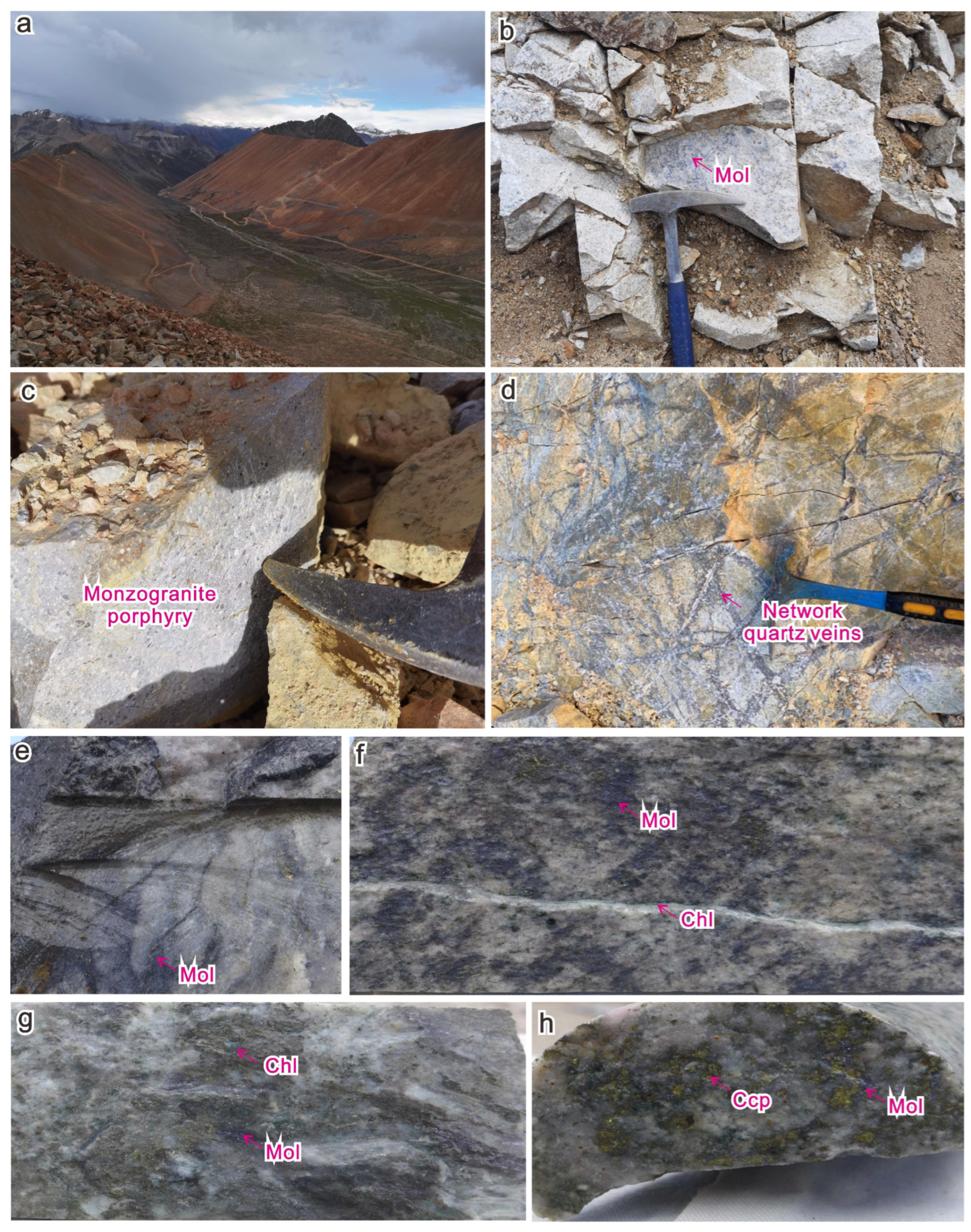 Minerals 14 01232 g003