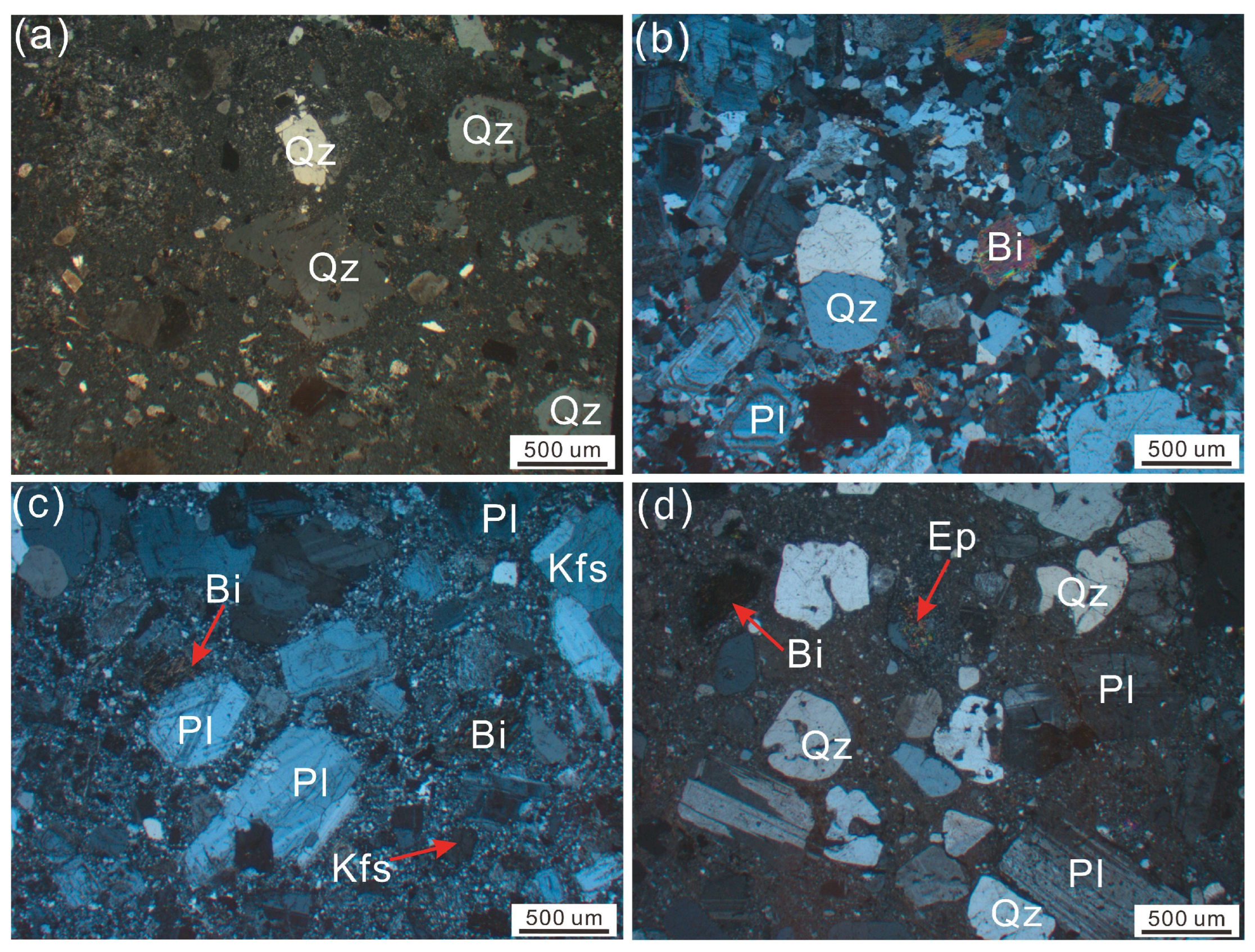 Minerals 14 01232 g004