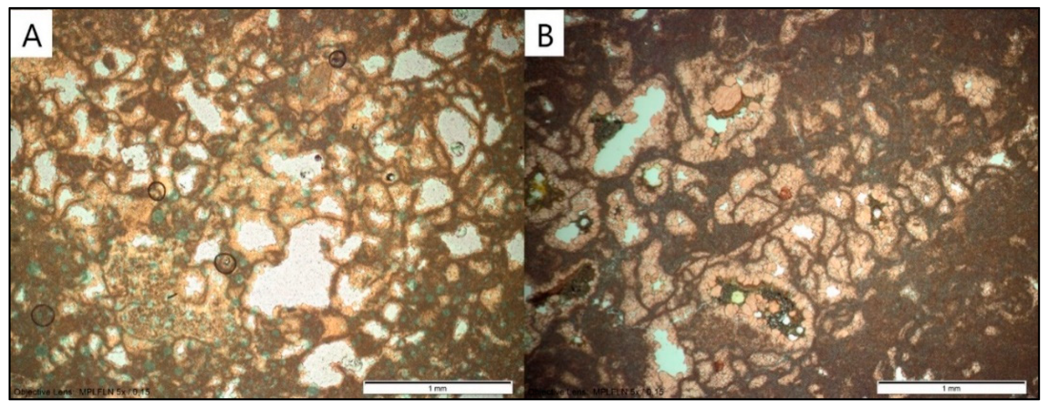 Minerals 14 01233 g005