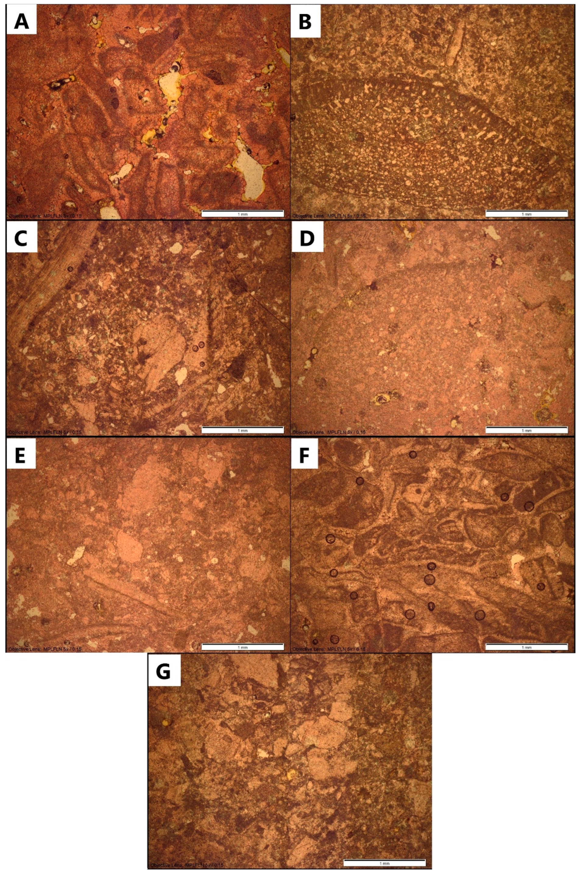 Minerals 14 01233 g009