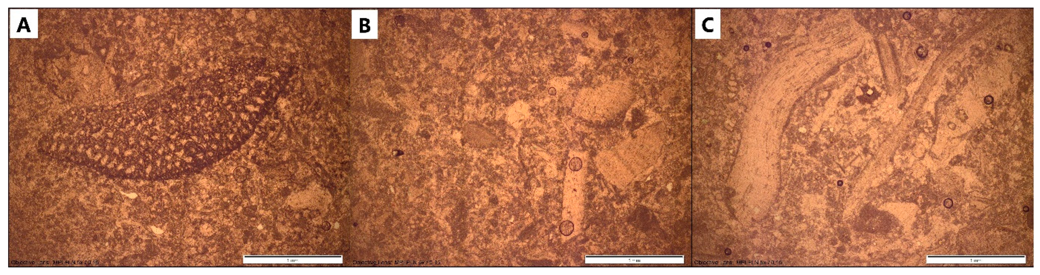 Minerals 14 01233 g019