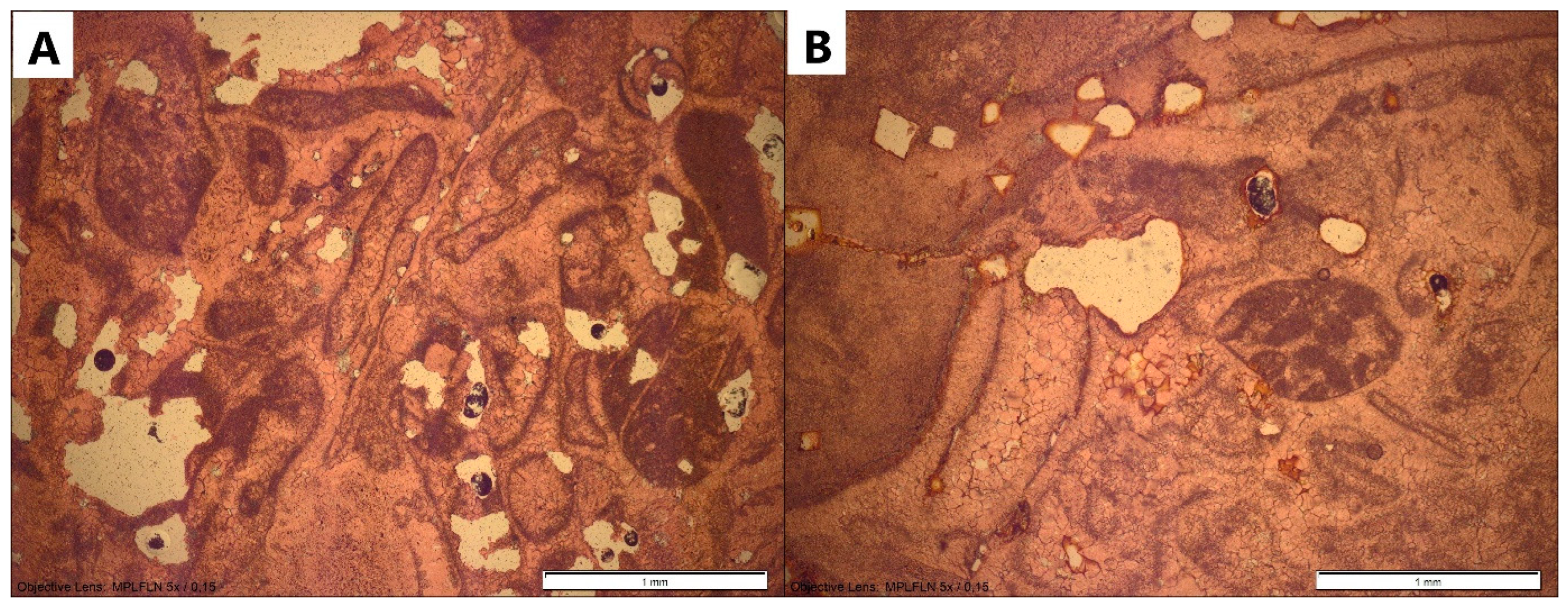 Minerals 14 01233 g021