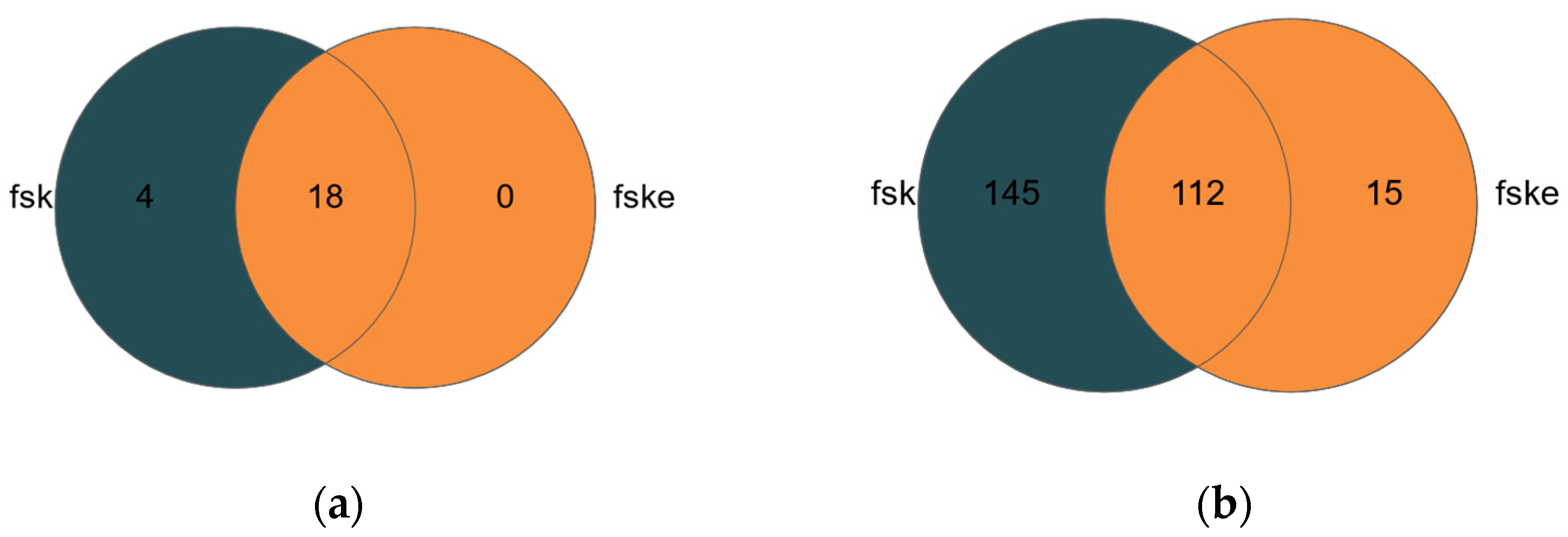 Minerals 14 01237 g003
