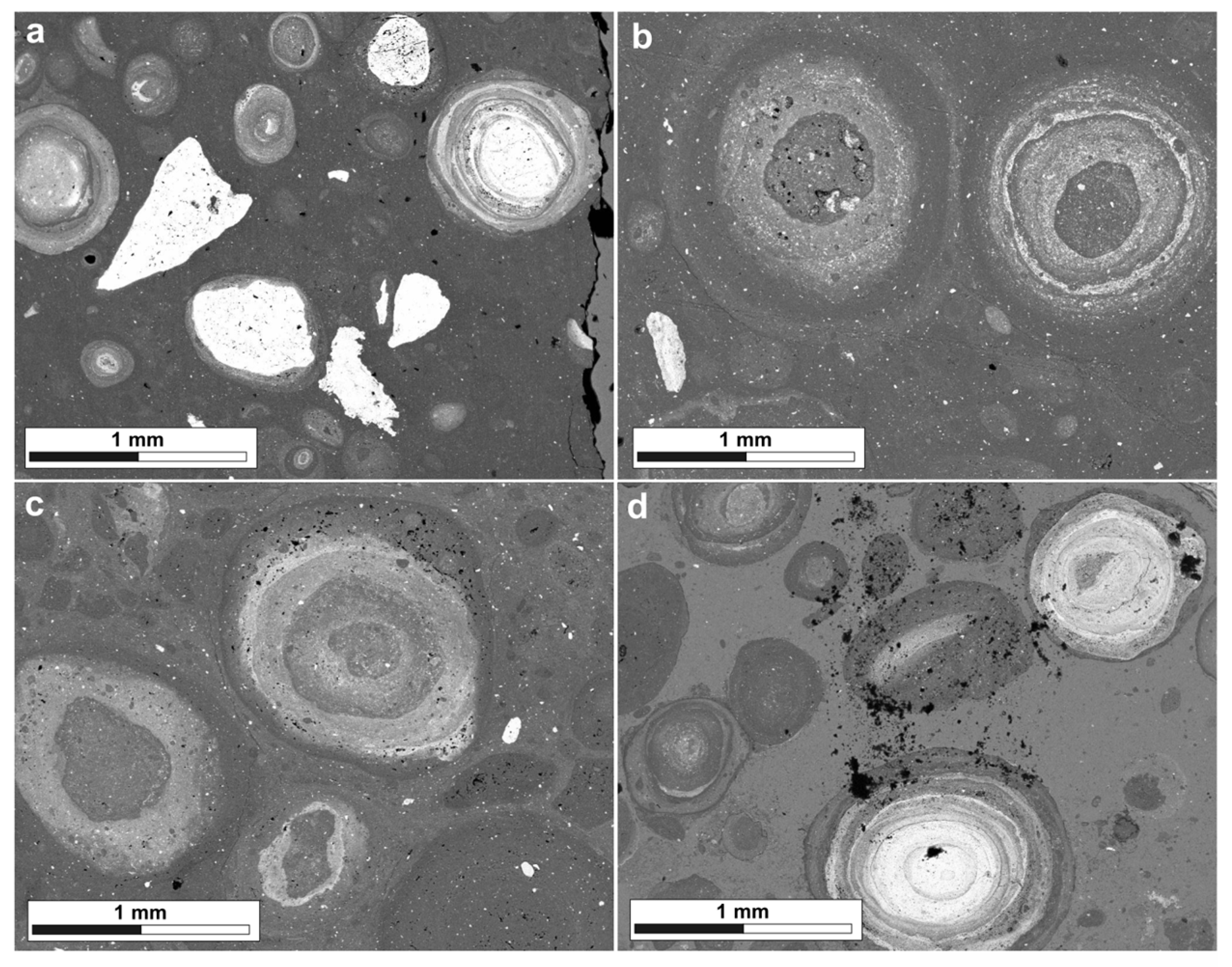 Minerals 14 01253 g003