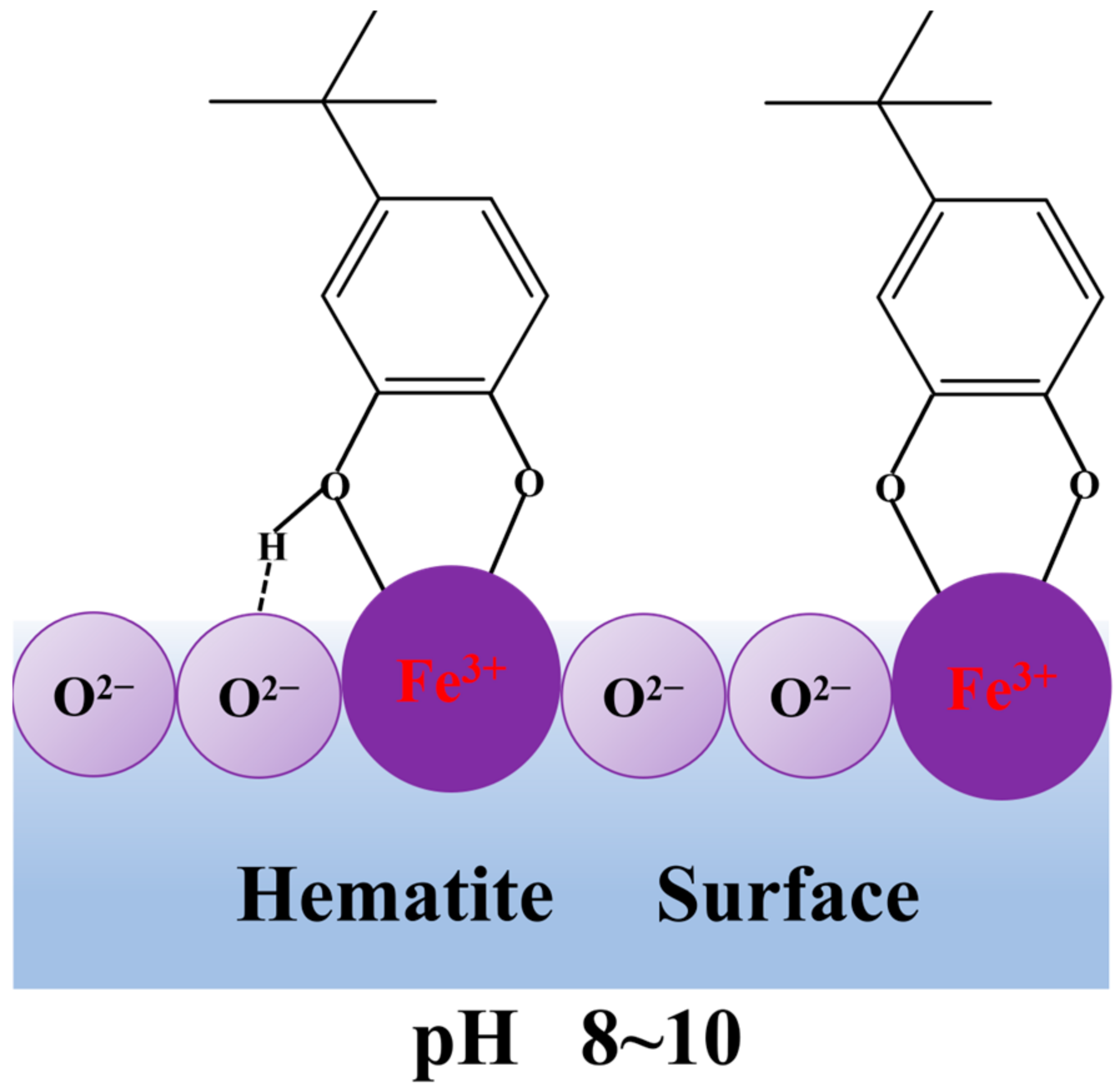 Minerals 14 01255 g011
