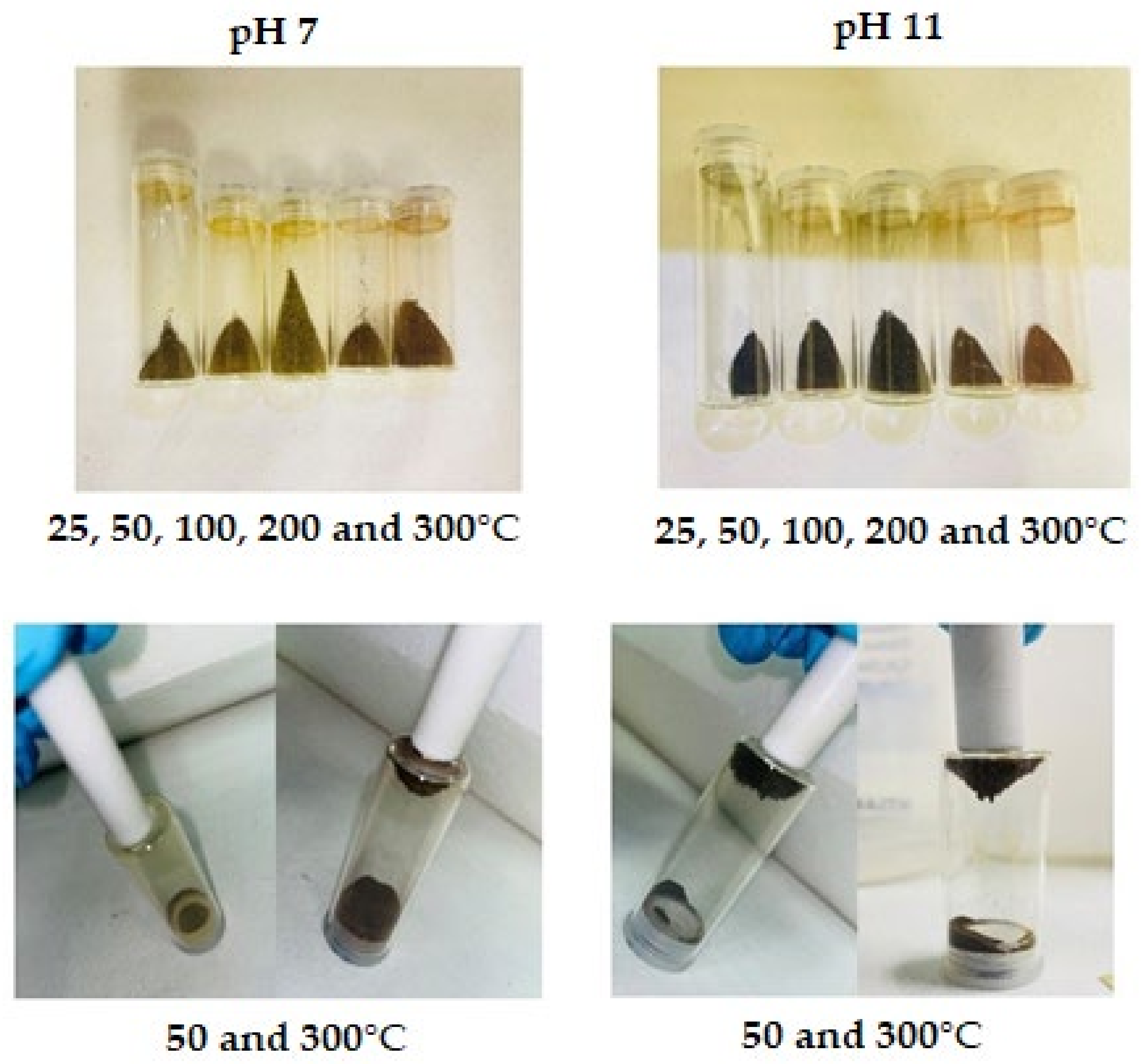 Minerals 14 01256 g003