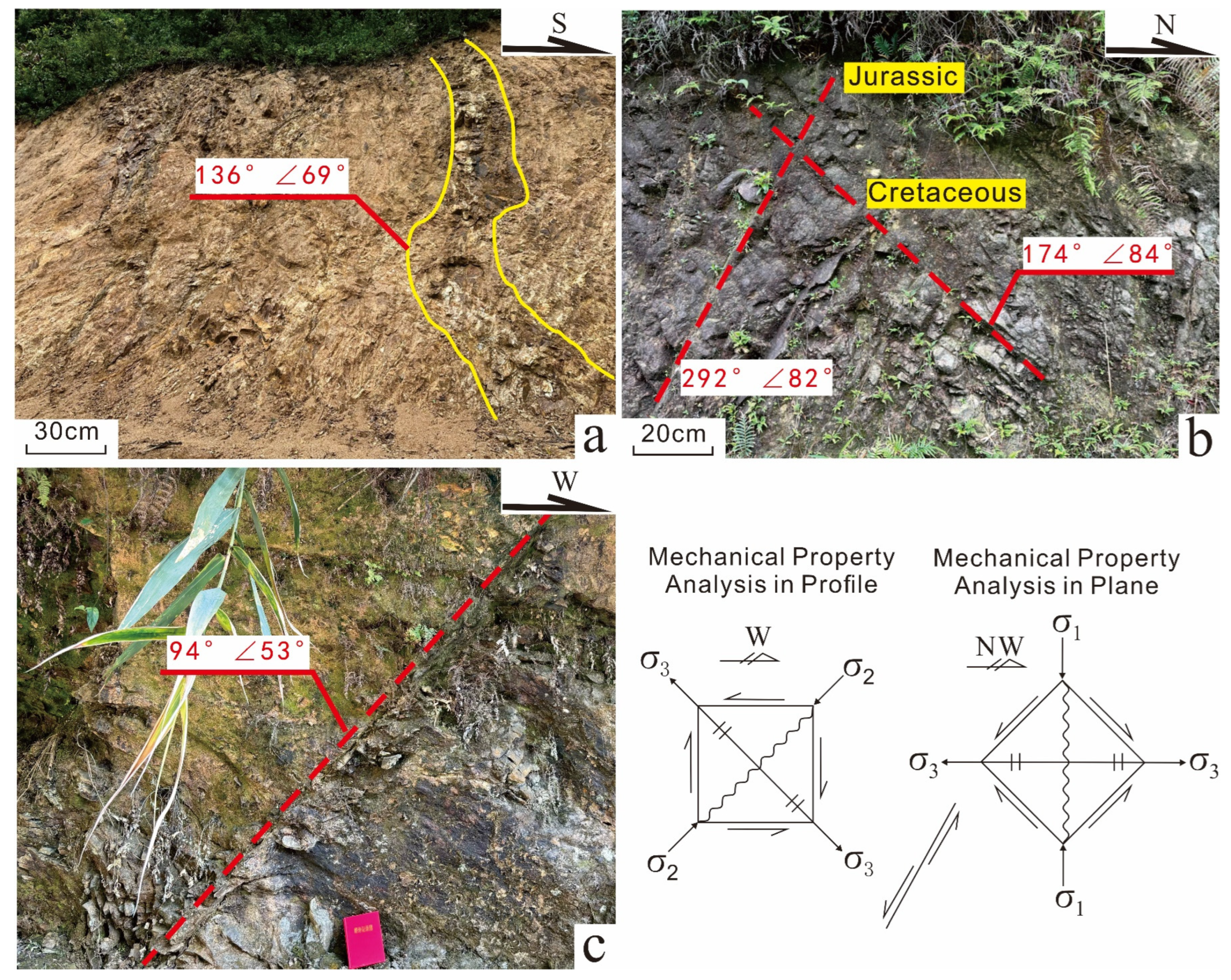Minerals 14 01259 g010