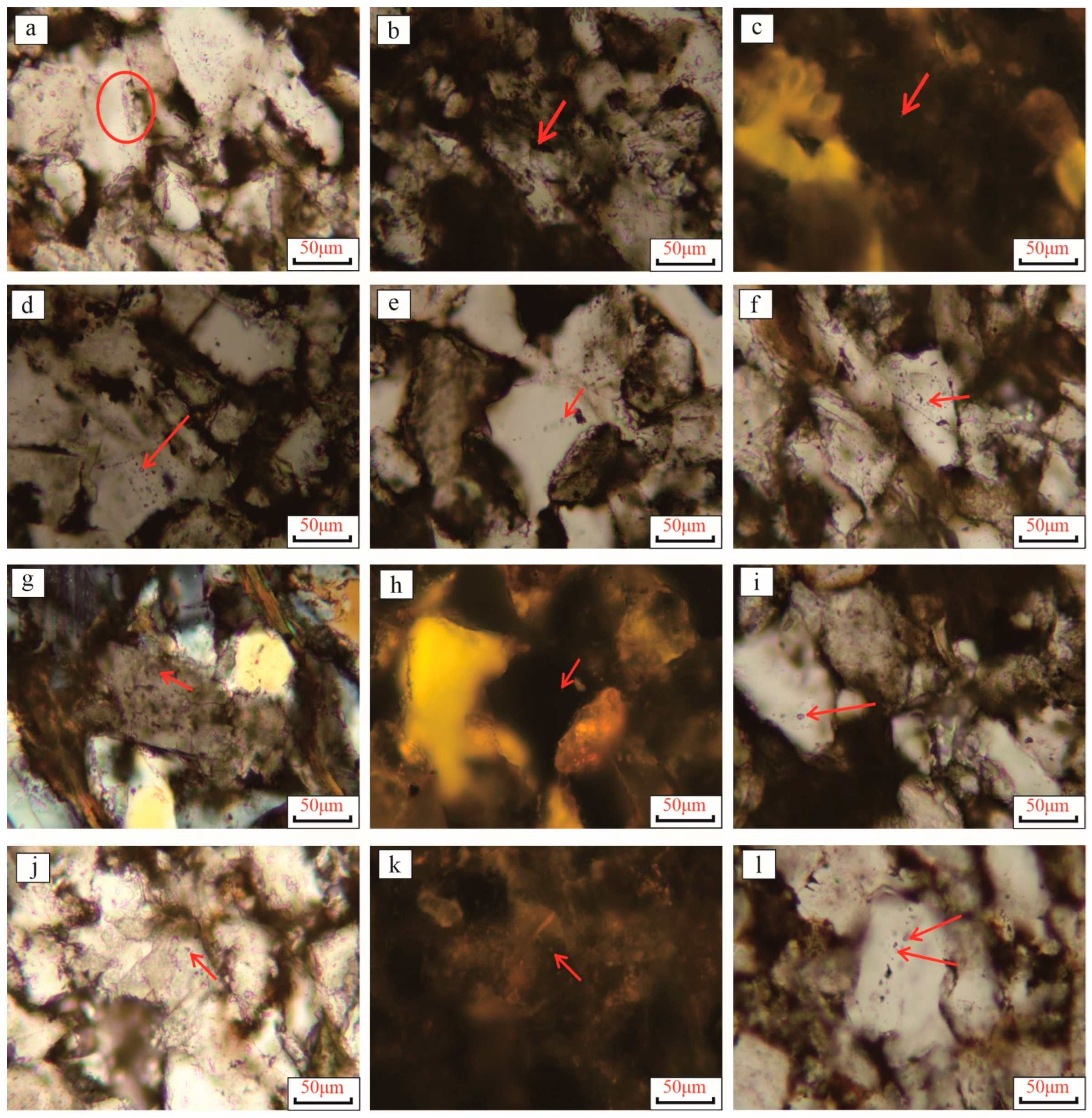 Minerals 14 01265 g010