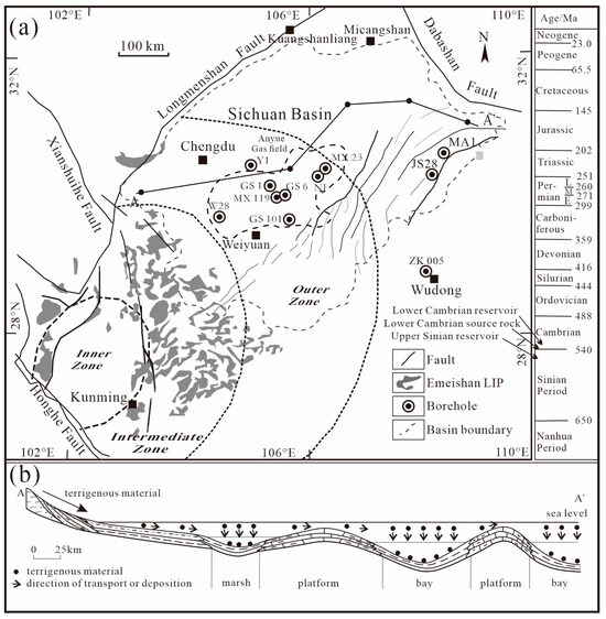 The Role of the Emeishan Large Igneous Province in Hydrocarbon