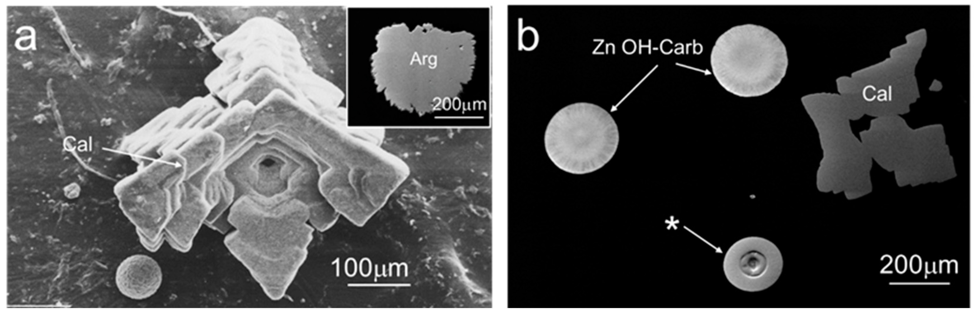Minerals 14 01274 g004