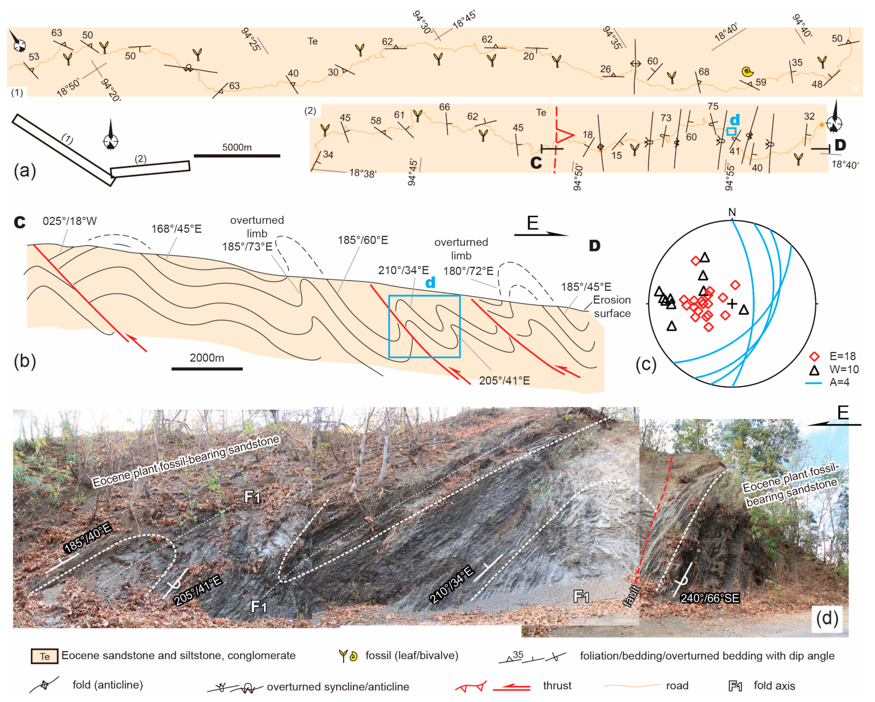 Minerals 14 01290 g005