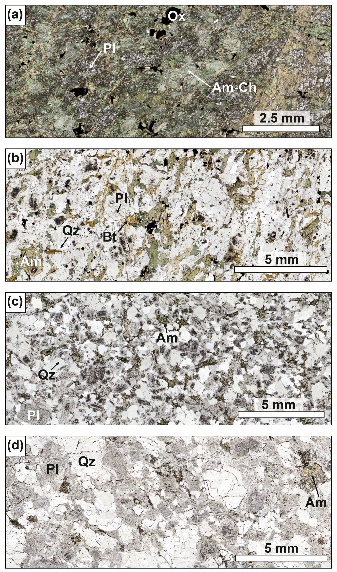 Minerals 14 01293 g003