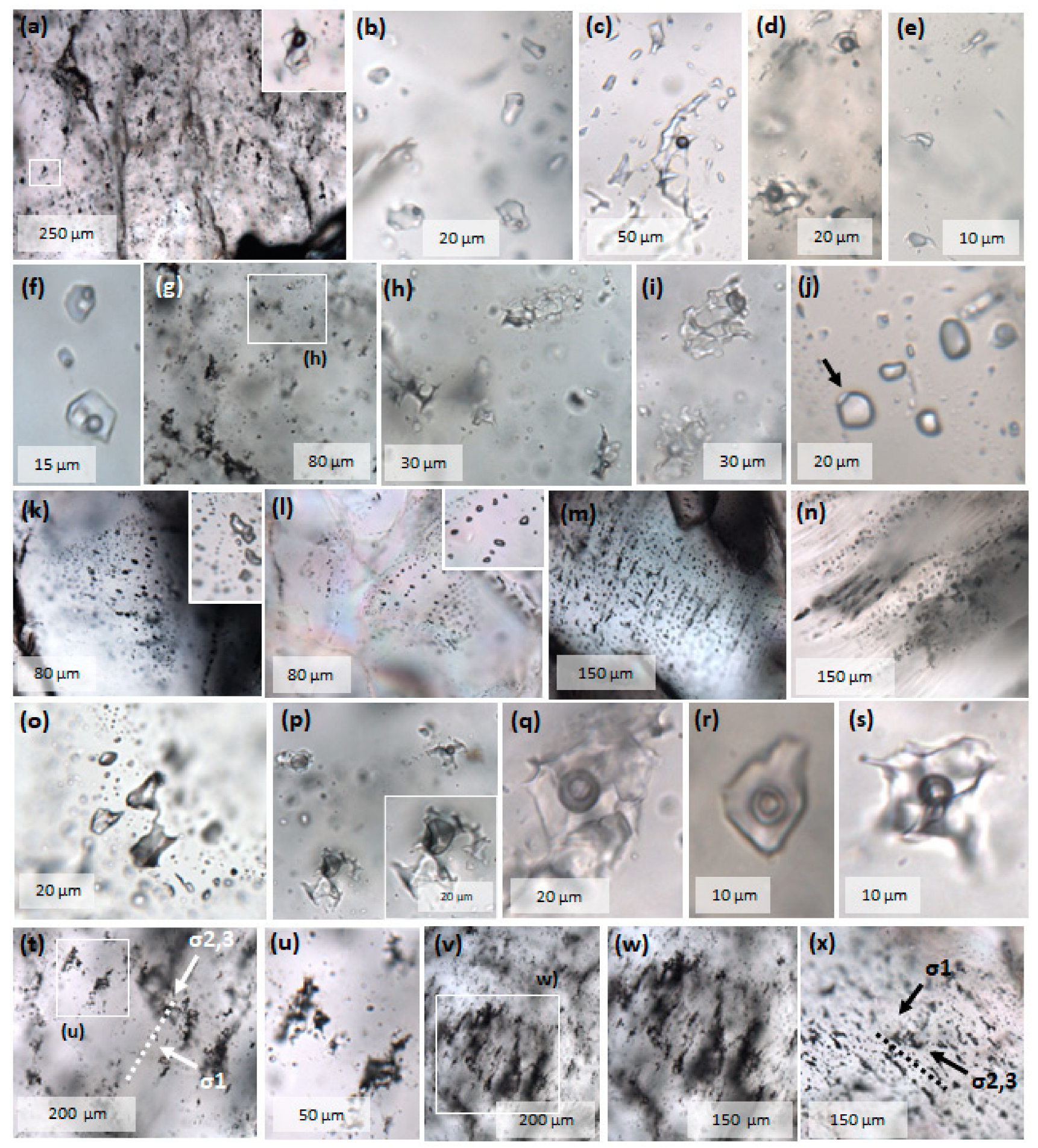 Minerals 14 01293 g013