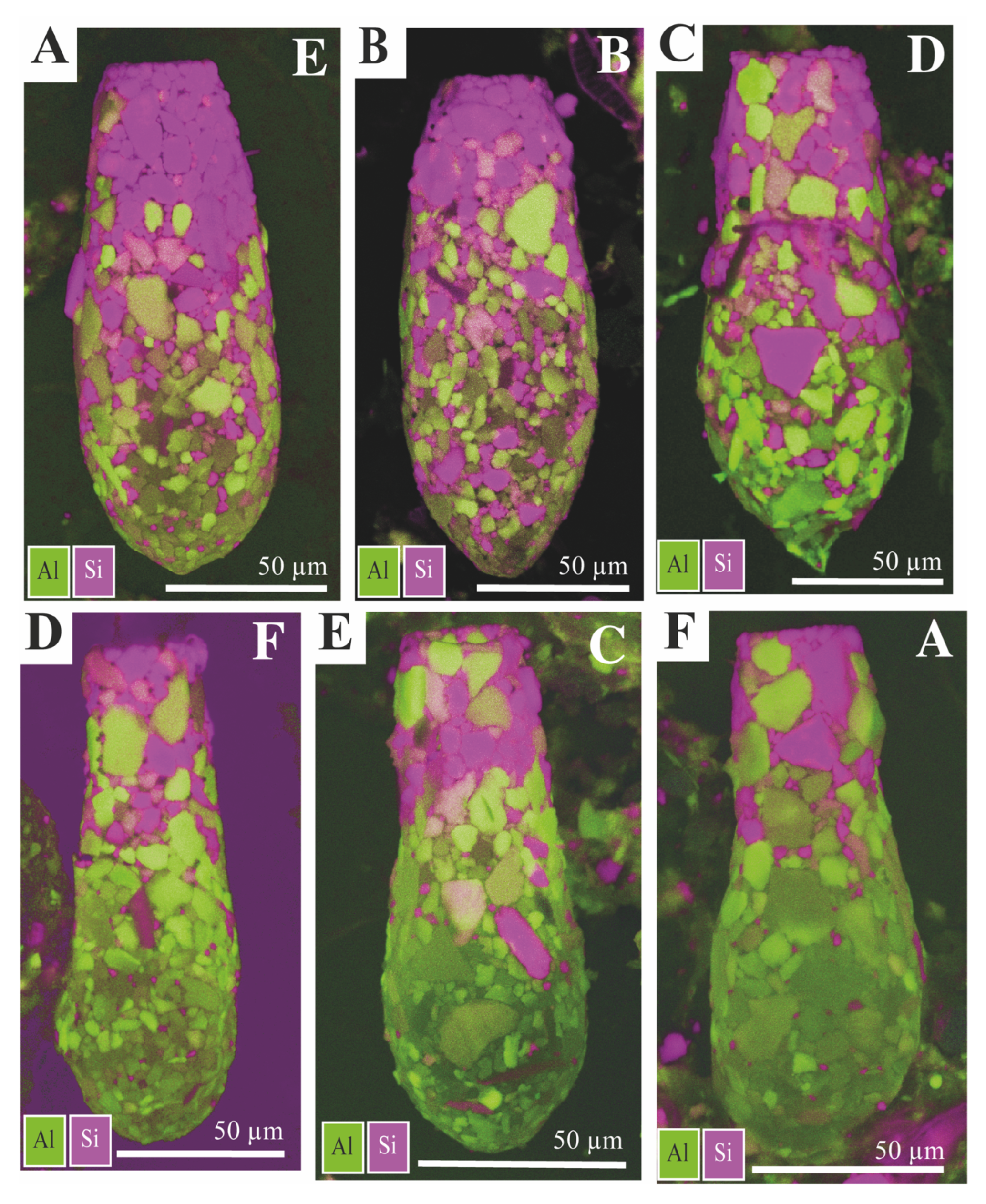 Minerals 15 00001 g011 Minerals 15 00001 g011