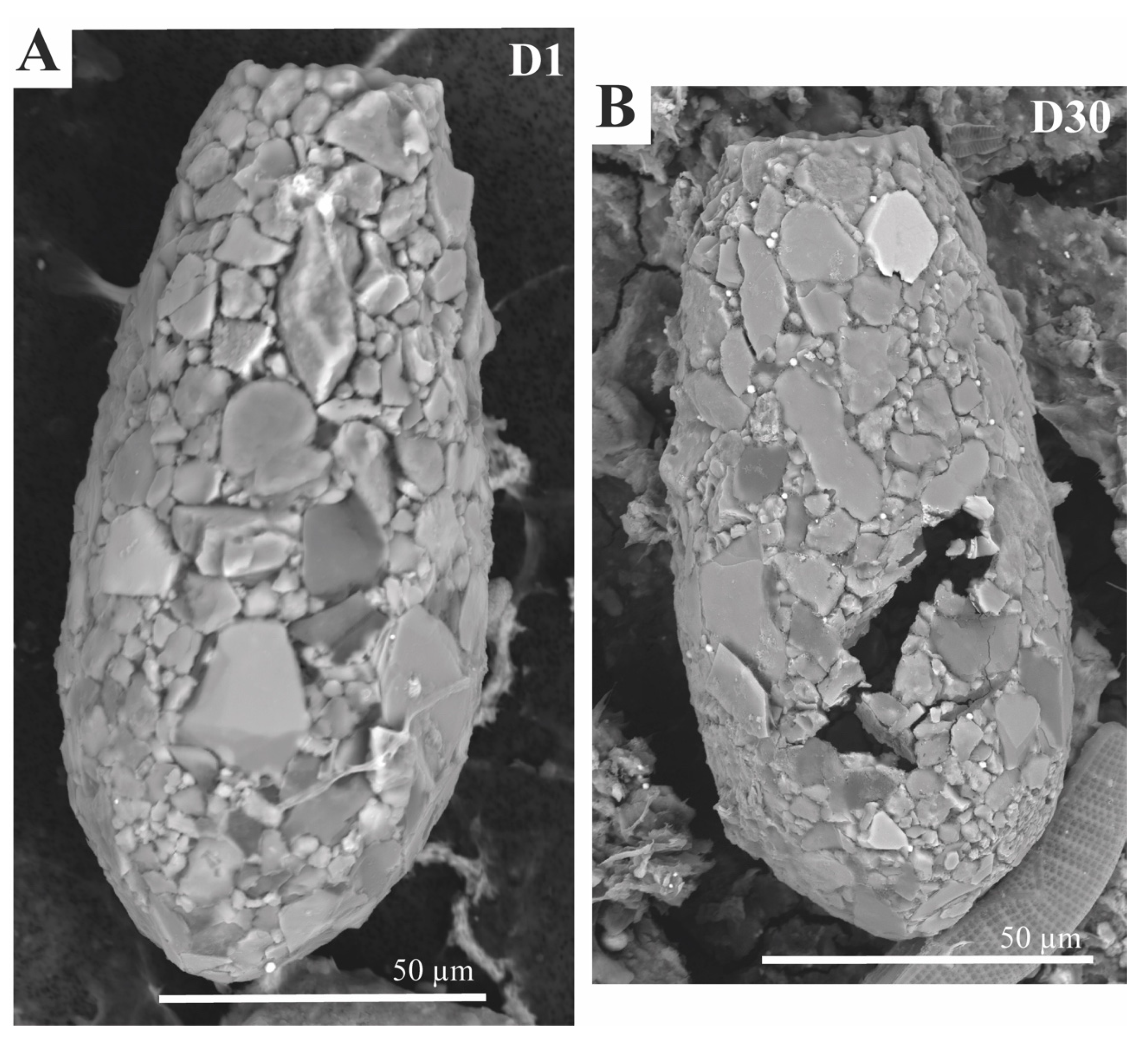 Minerals 15 00001 g012 Minerals 15 00001 g012