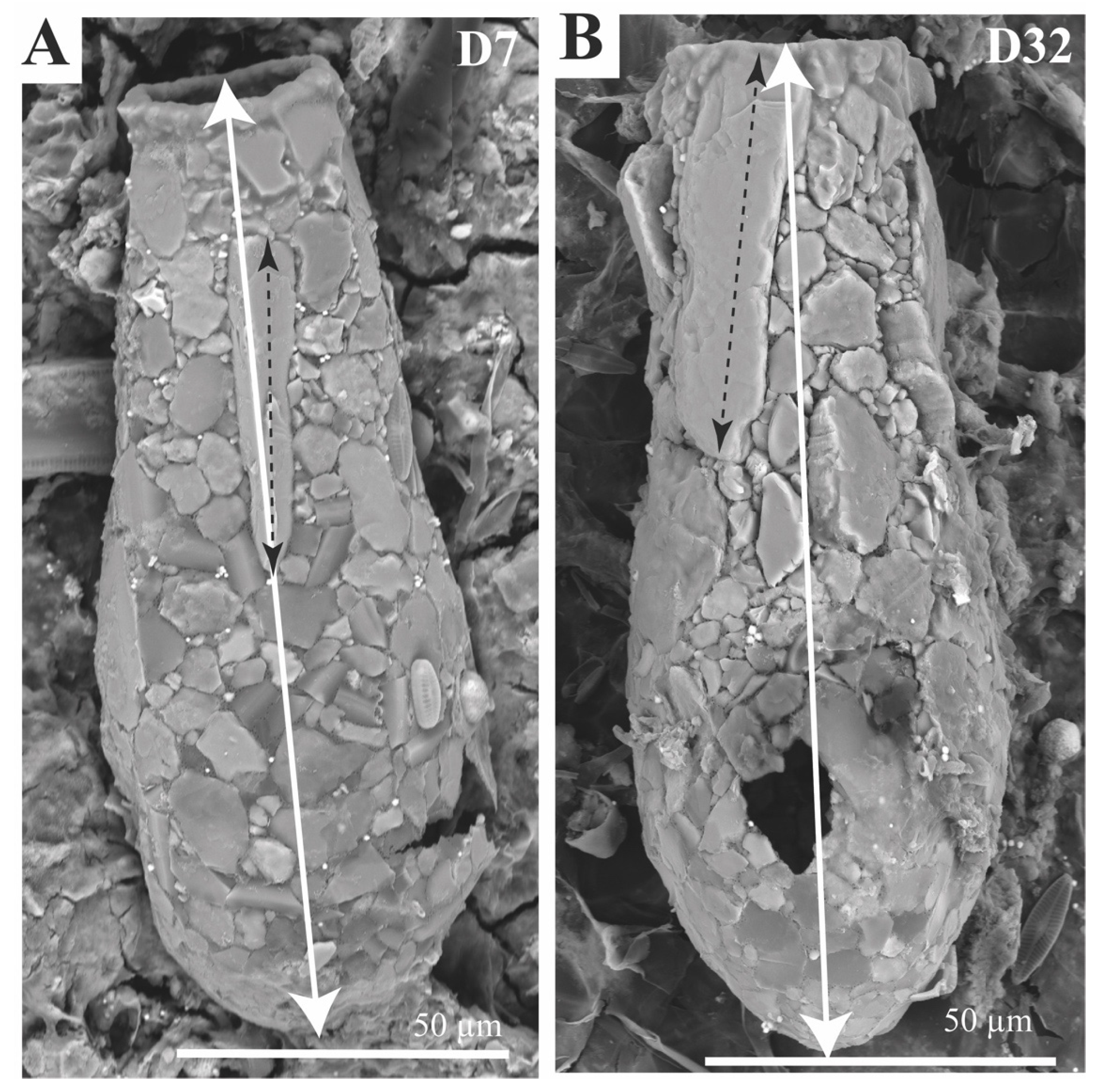 Minerals 15 00001 g013 Minerals 15 00001 g013