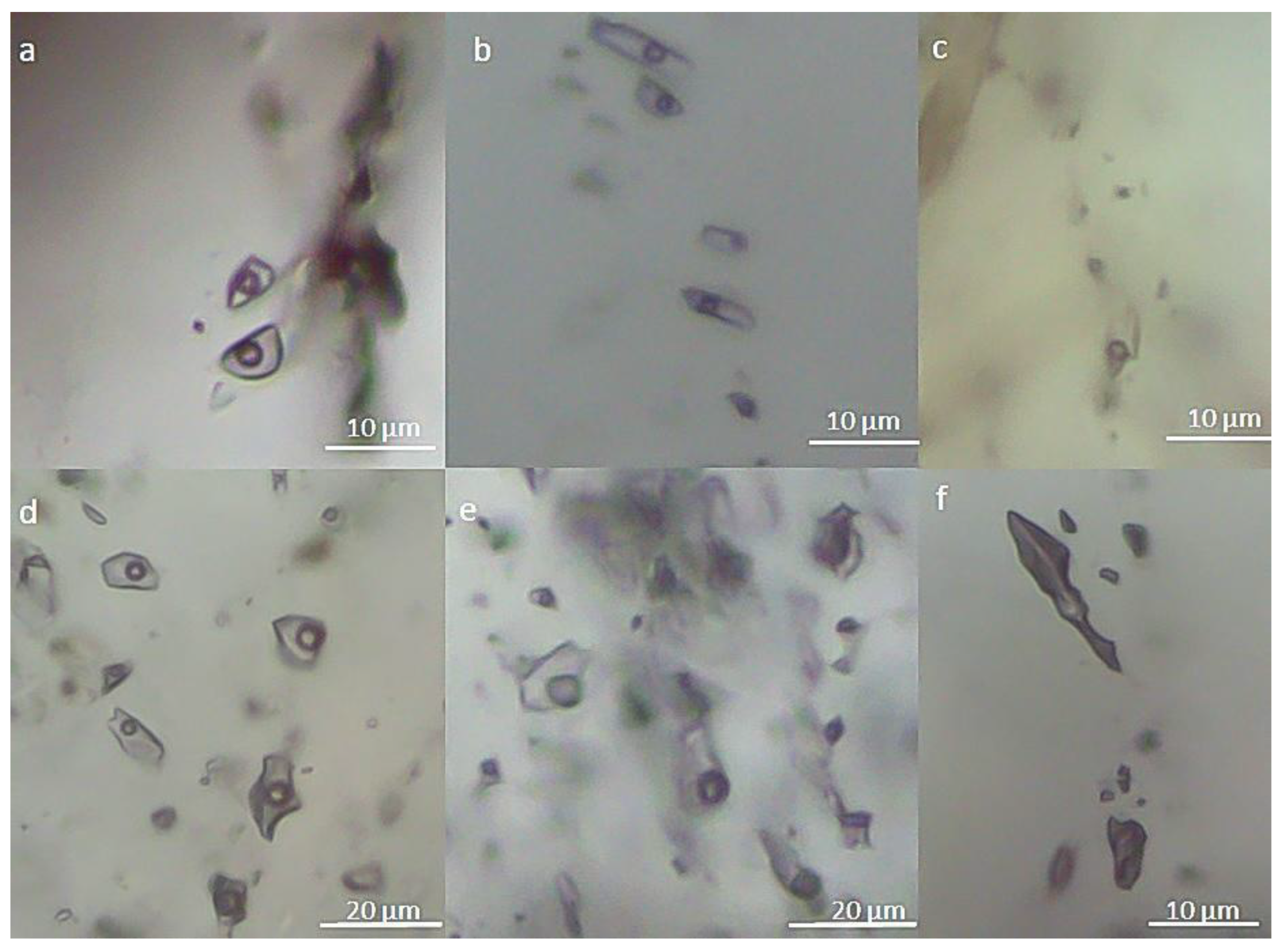 Minerals 15 00002 g006